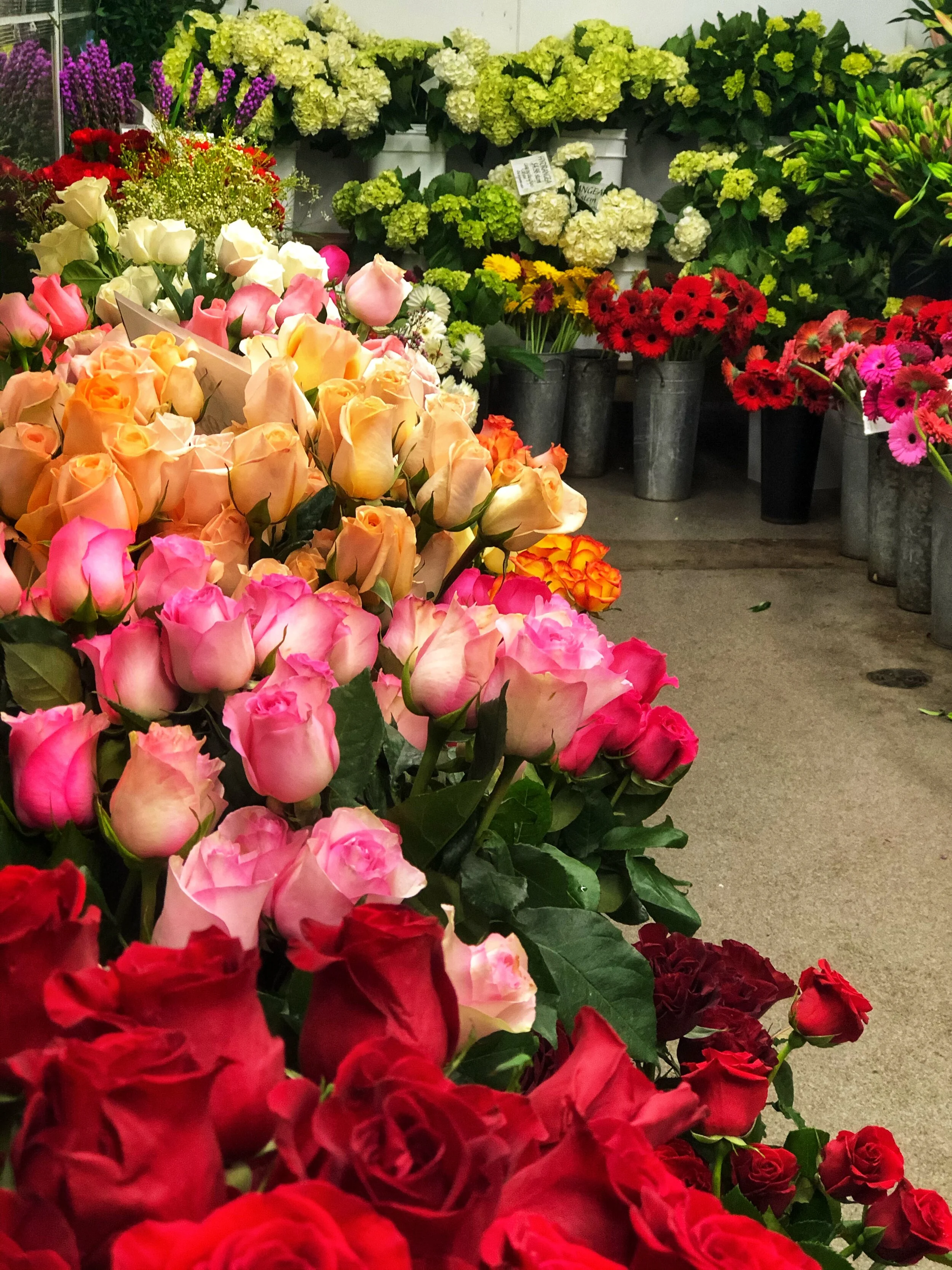 Choose your own arrangements for Valentine’s Day in our PIck-Your-Own Flower Fridge! Select from fresh cut roses and more!