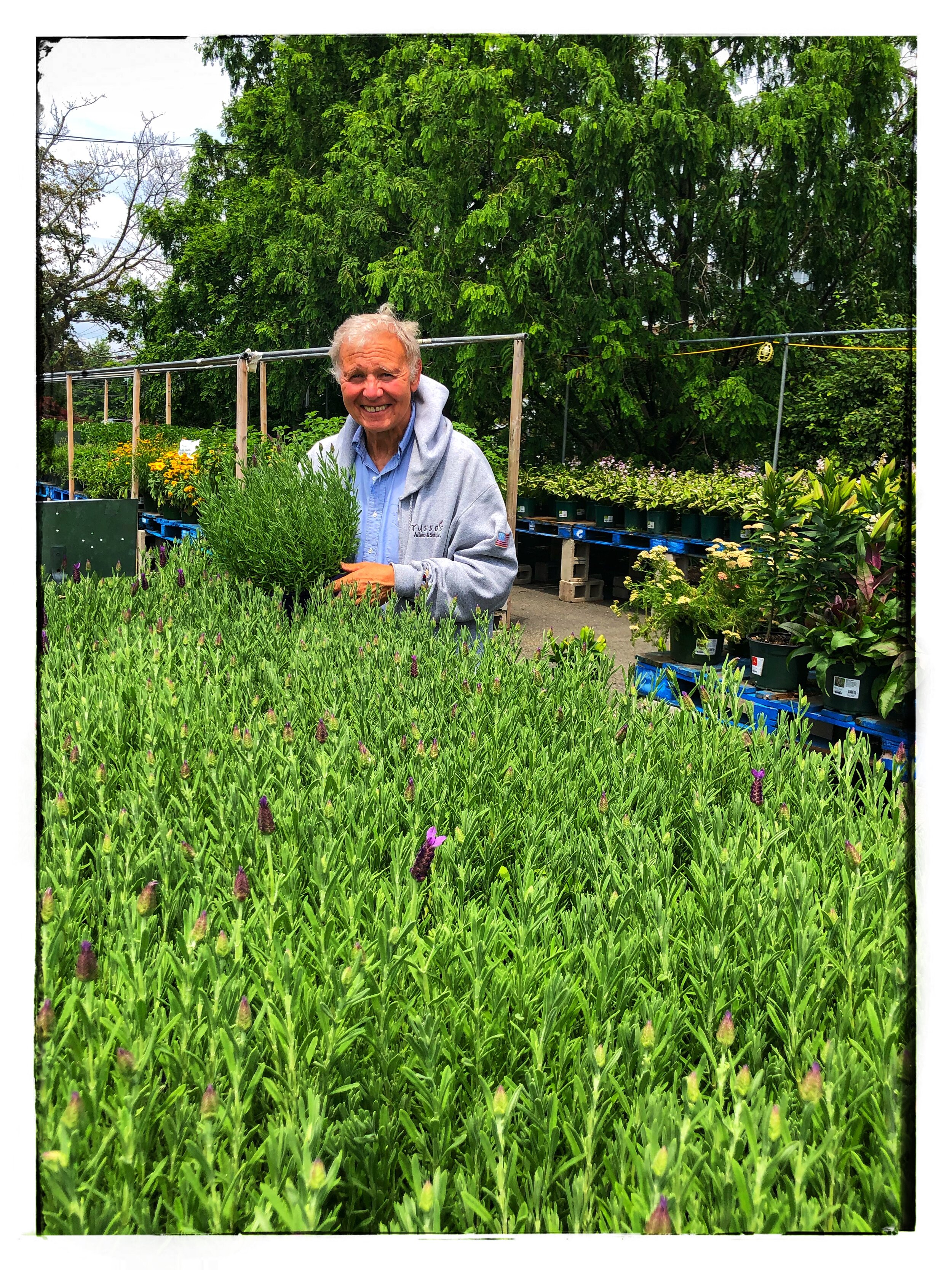 Our award-winning garden center offers annuals and perennials, including organics, from the best local, regional and national growers. Plants and seasonal items arrive daily. We have gardening tools, pots and organic fertilizers, too.