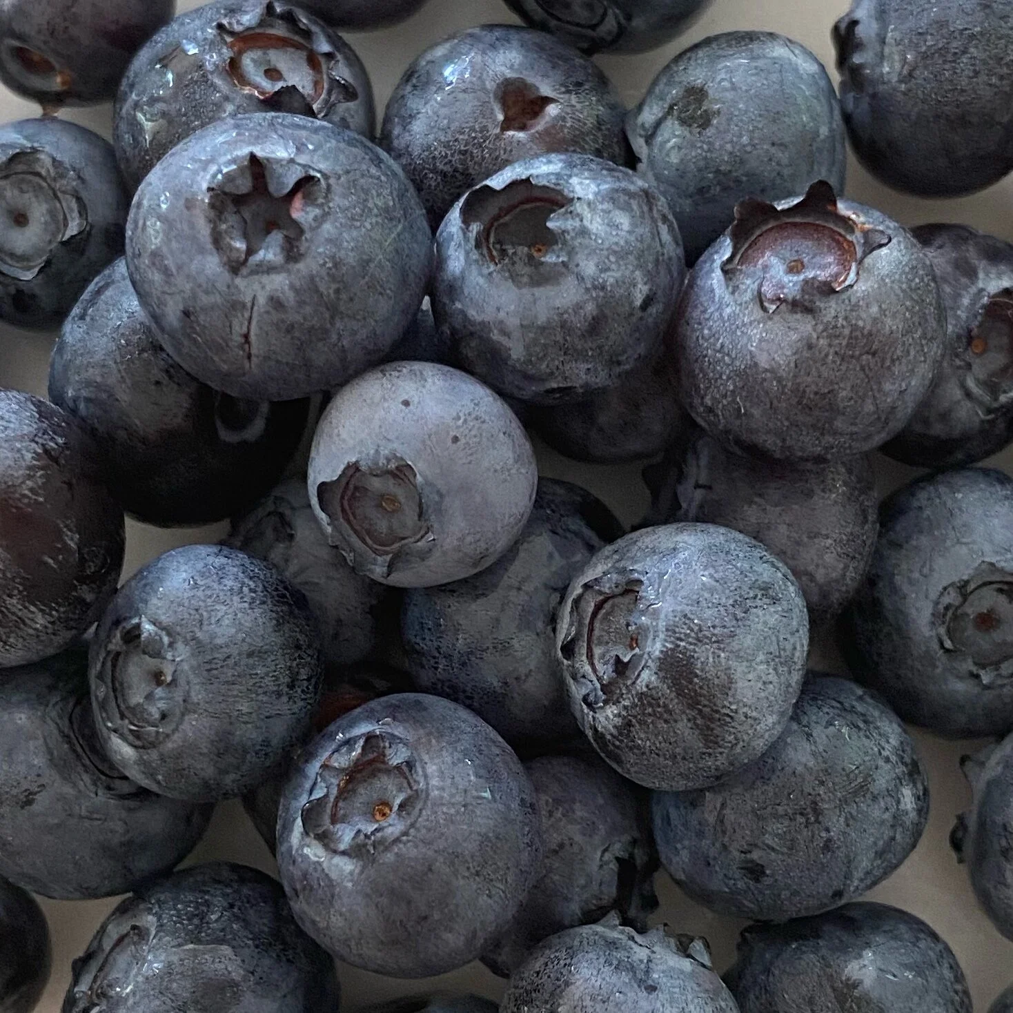 We have delicious locally-grown and organic blueberries at our store! Enjoy this wonderful season with a celebration of the season’s fruits and vegetables!