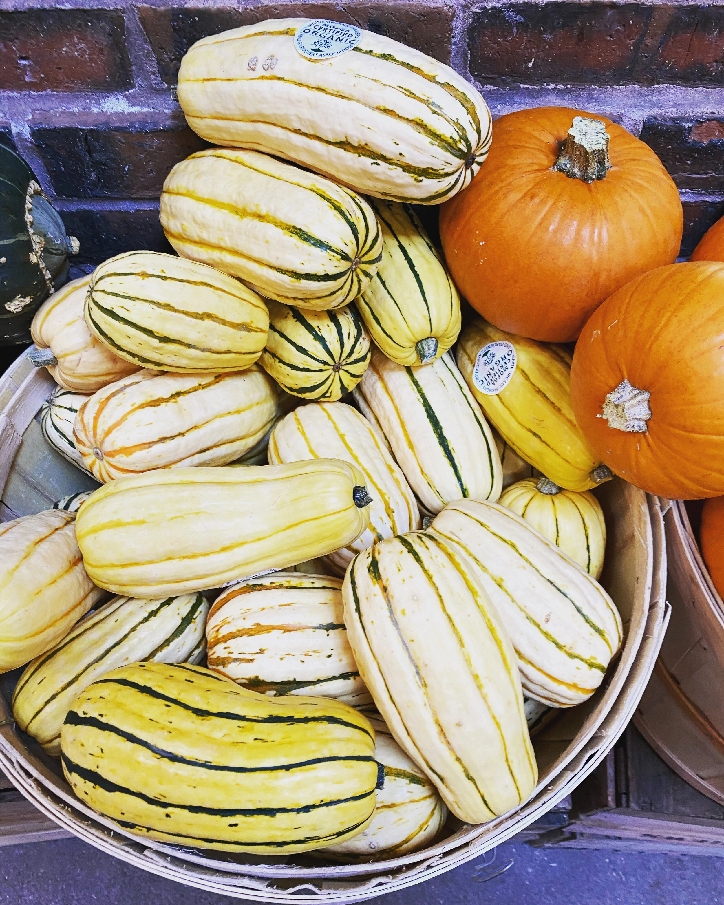 Organic delicata and sugar pumpkins in our store.