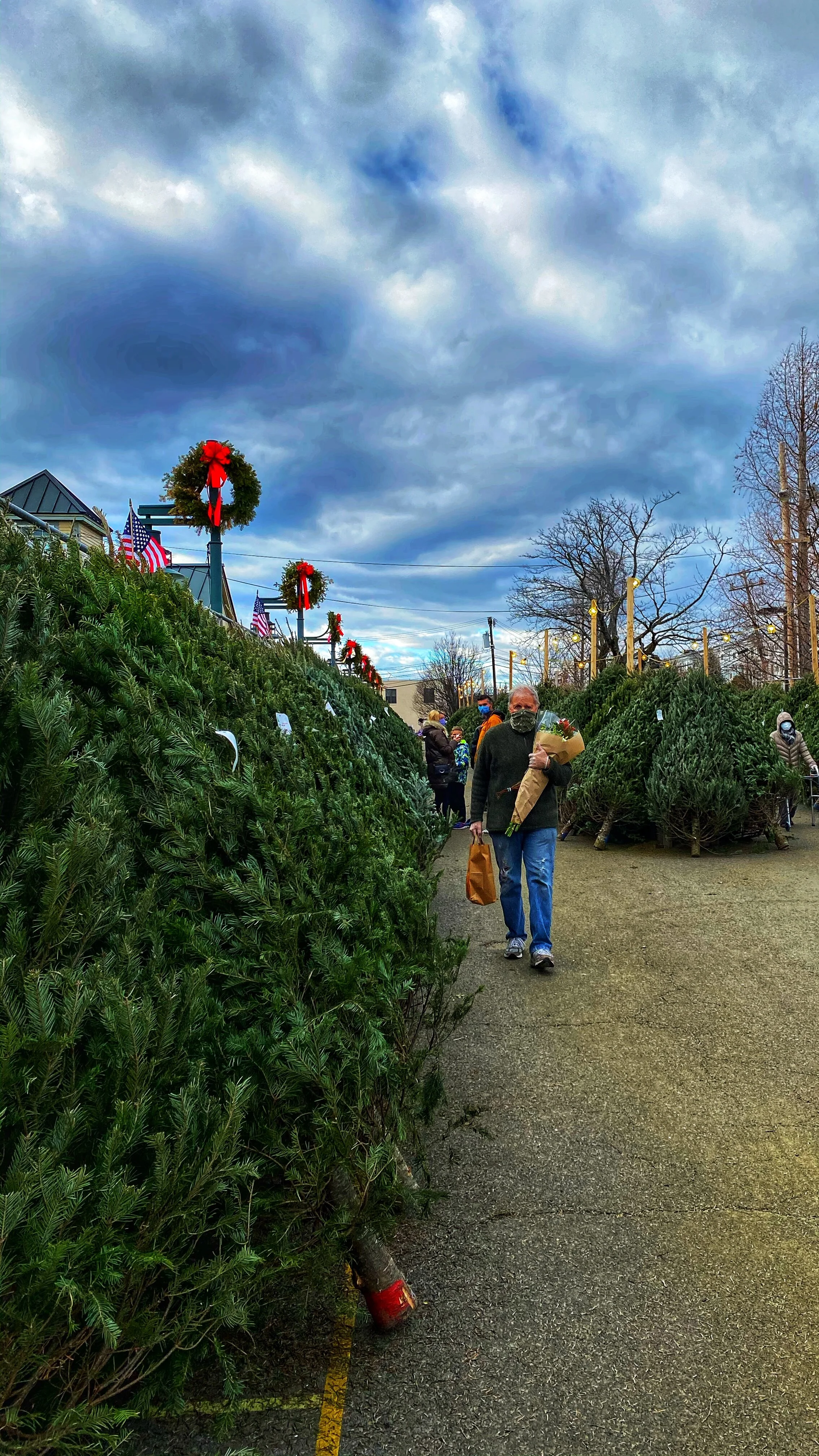 Tony Russo amongst the Christmas Trees.