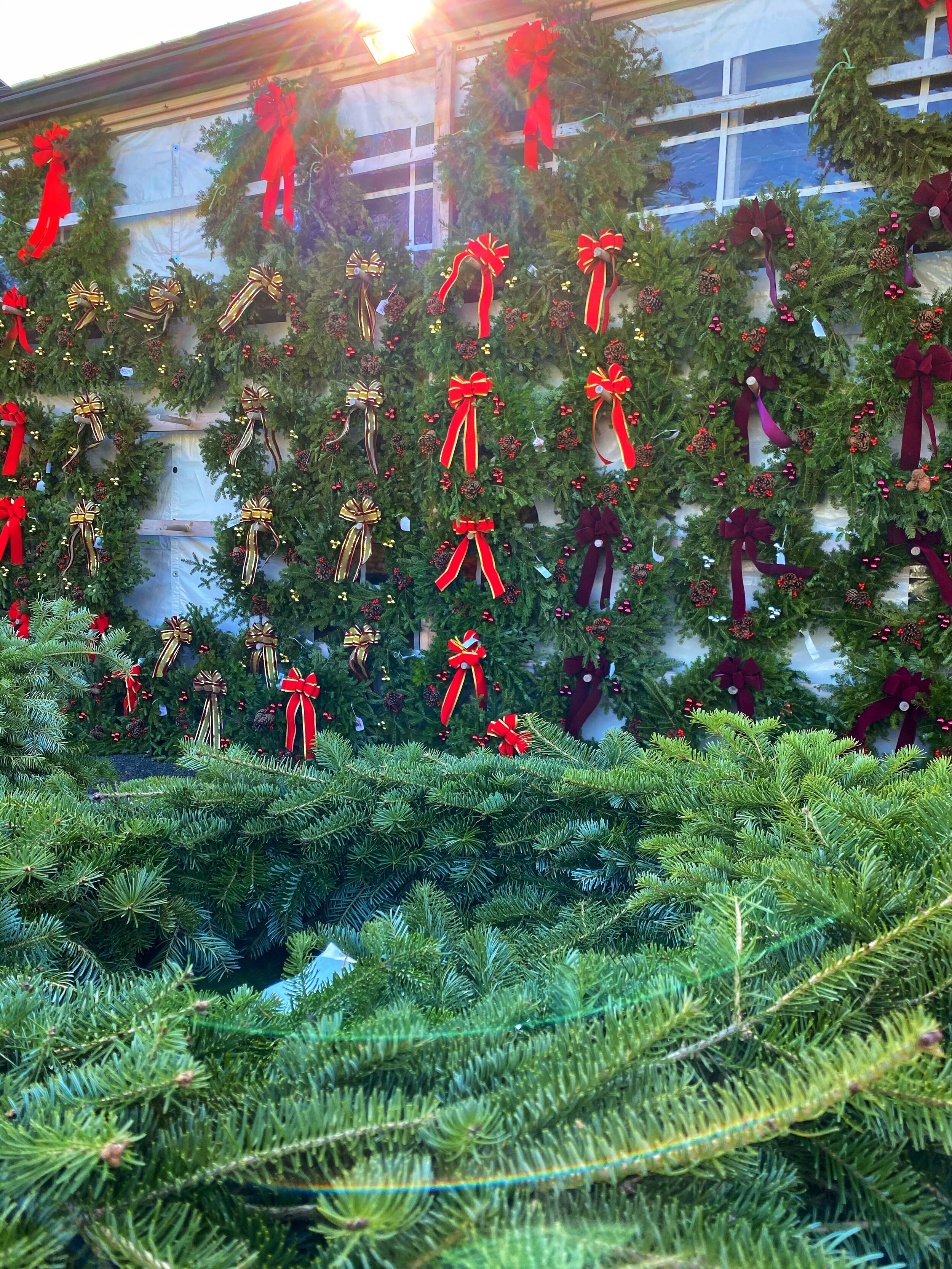 Specials December 15th to 21st