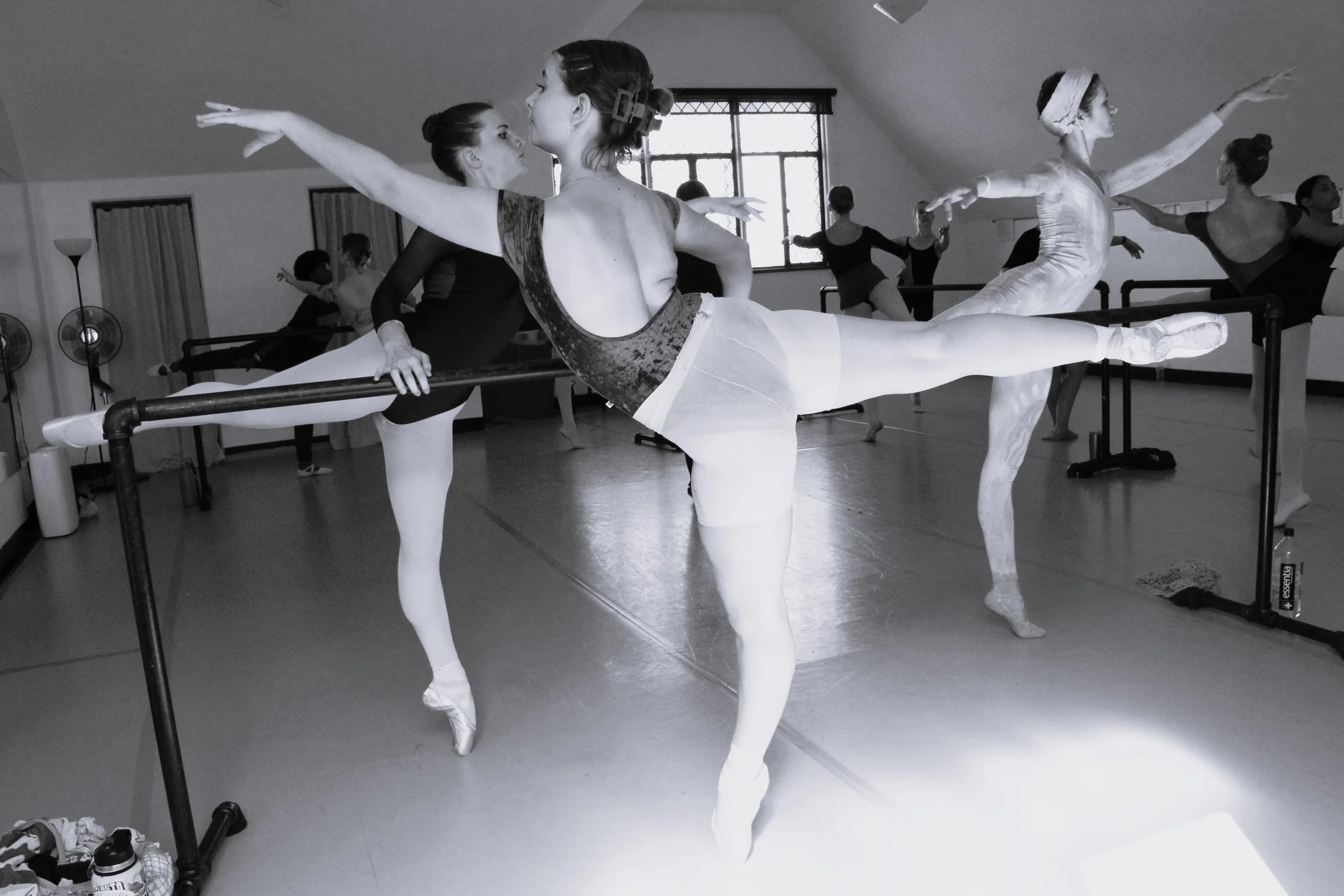 What Pre-Professional Ballet Training Actually Means