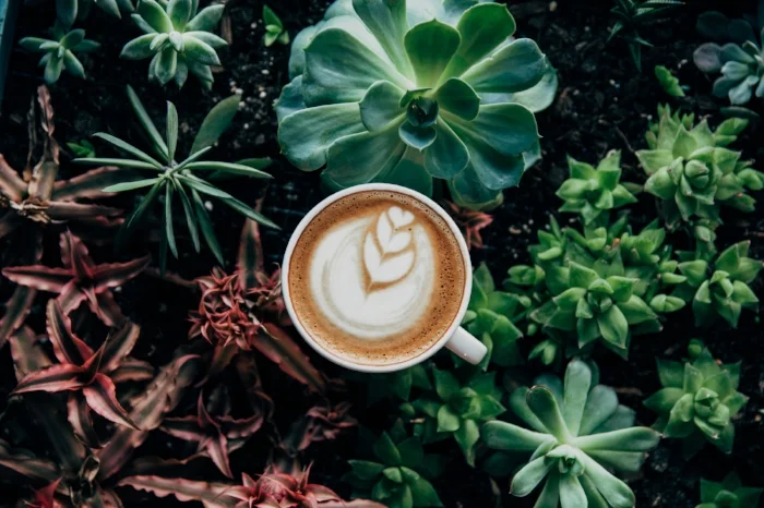 Coffee.jpg