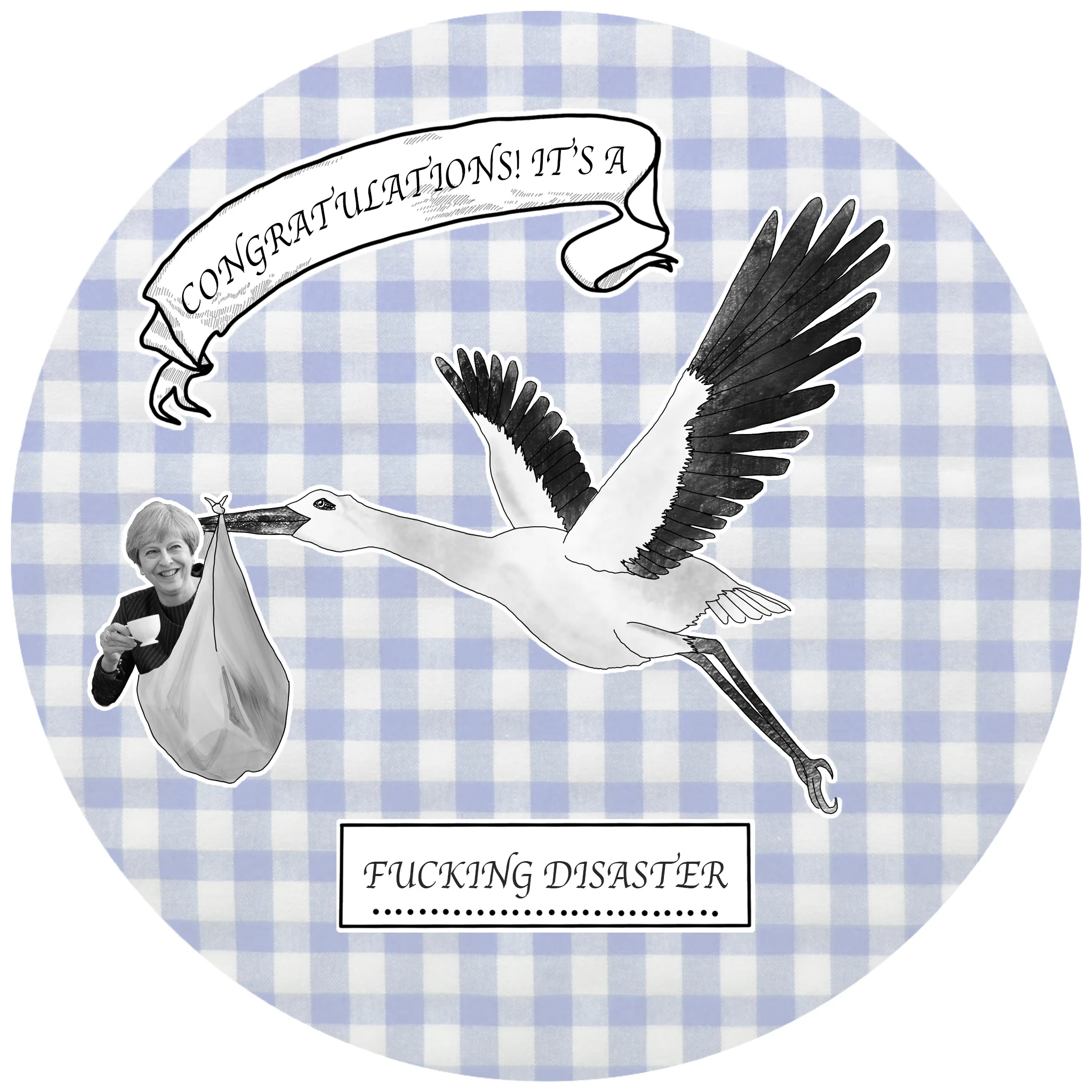 STORK-Recovered copy.jpg