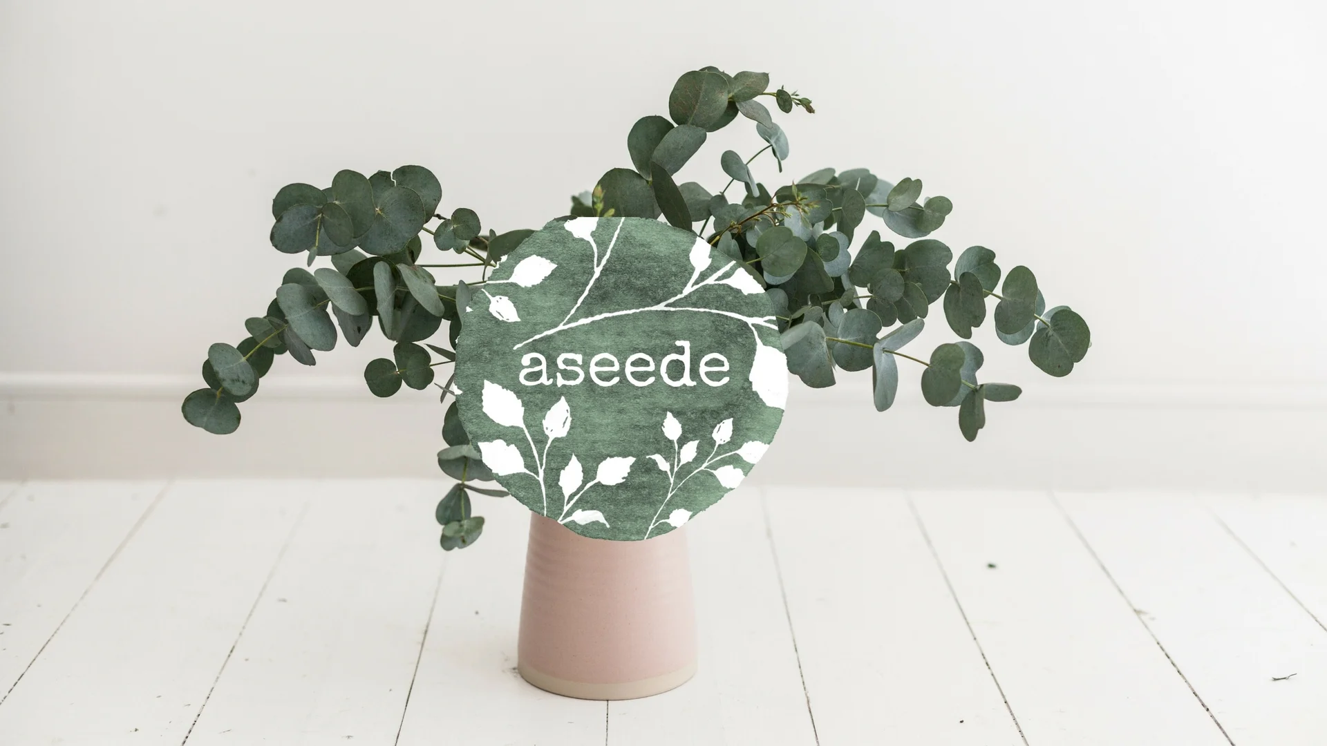 ASEEDE PORTFOLIO COVER.jpg