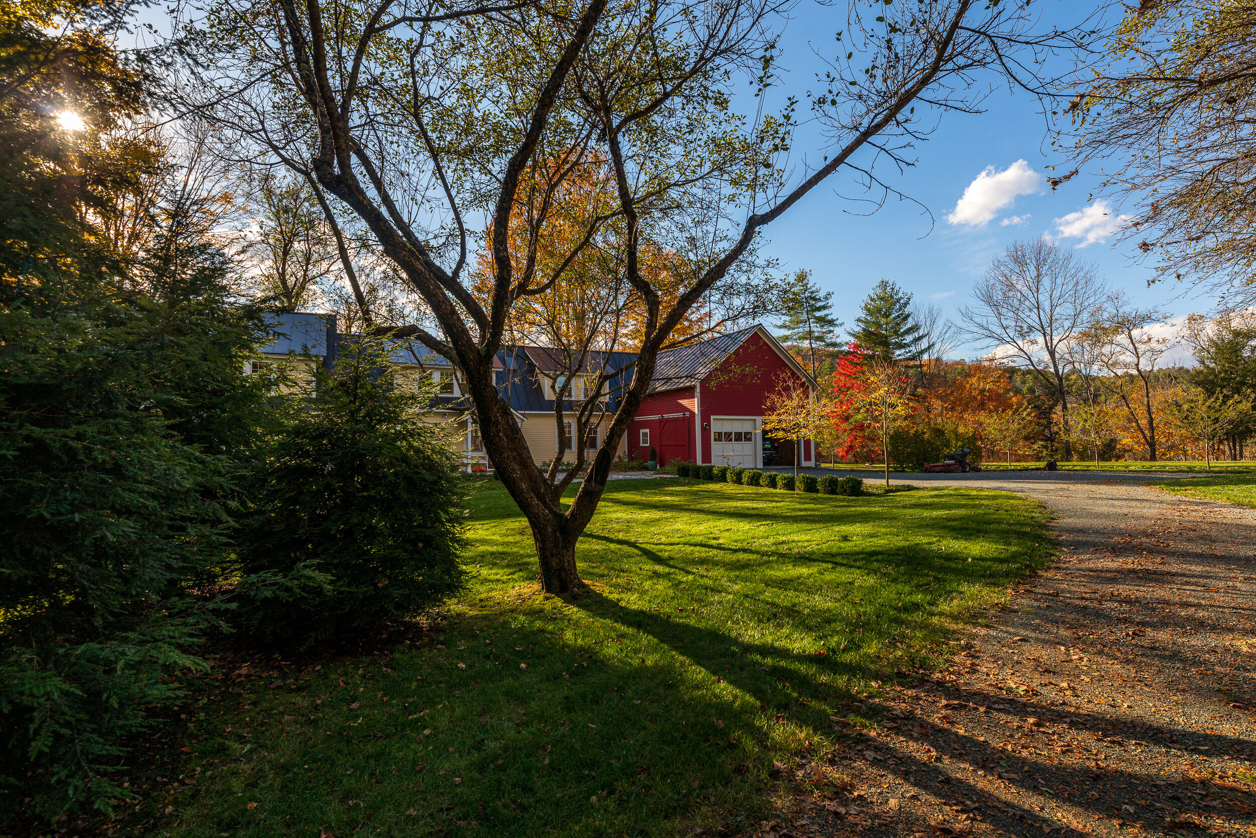 Elm Fall-MLS-1.jpg