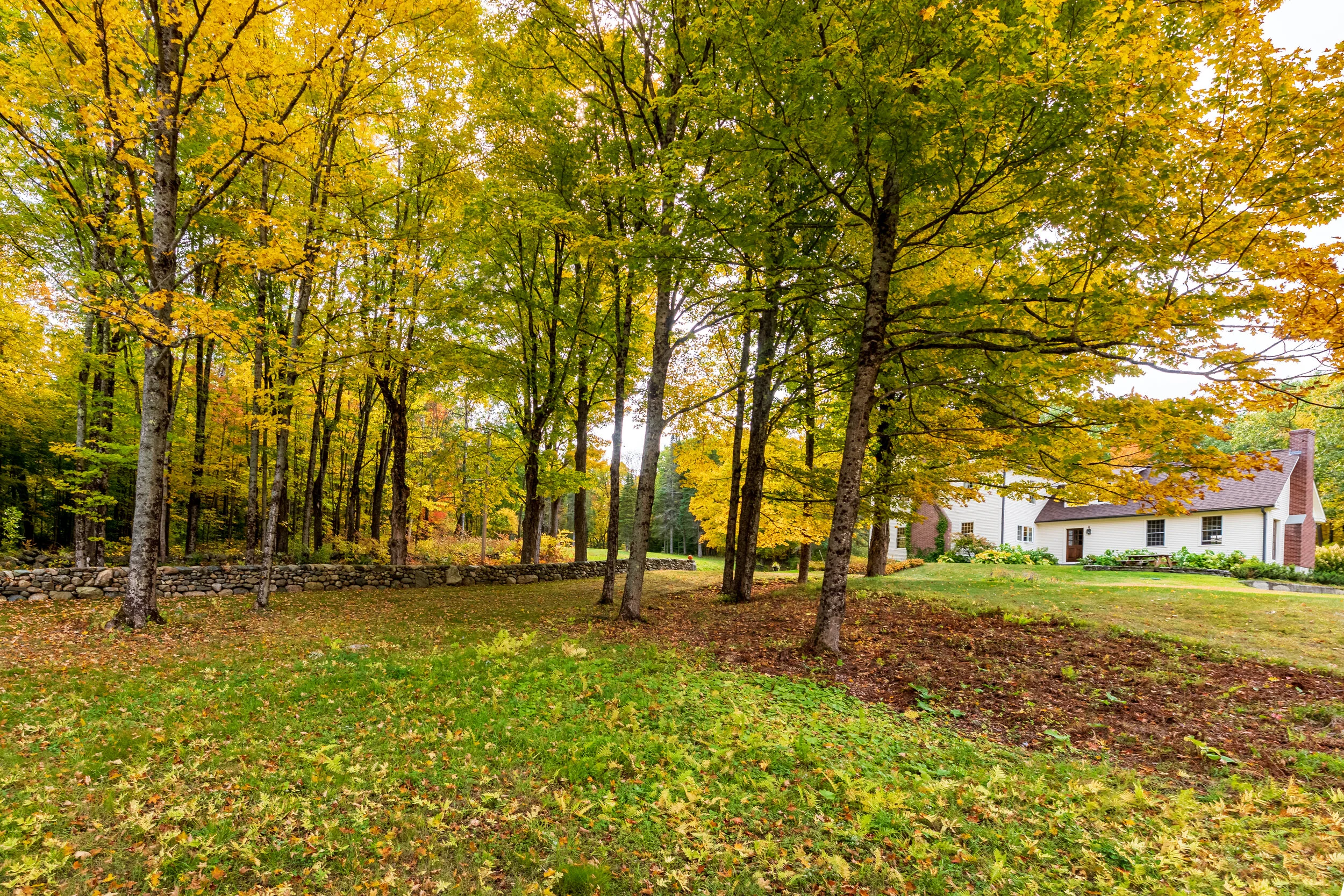 A67A8698-HDR.jpg