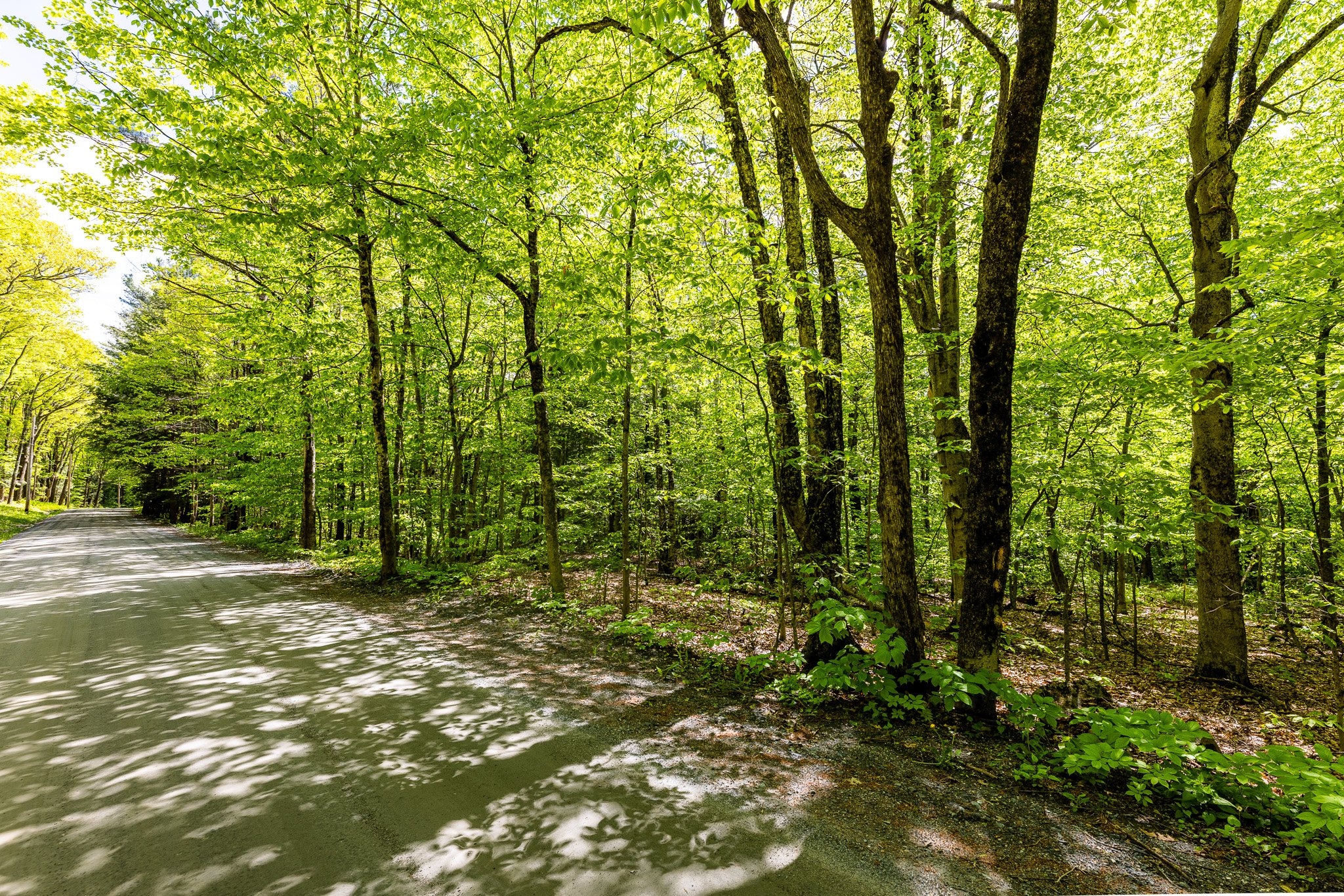 Three Mile Road Land MLS-5.jpg