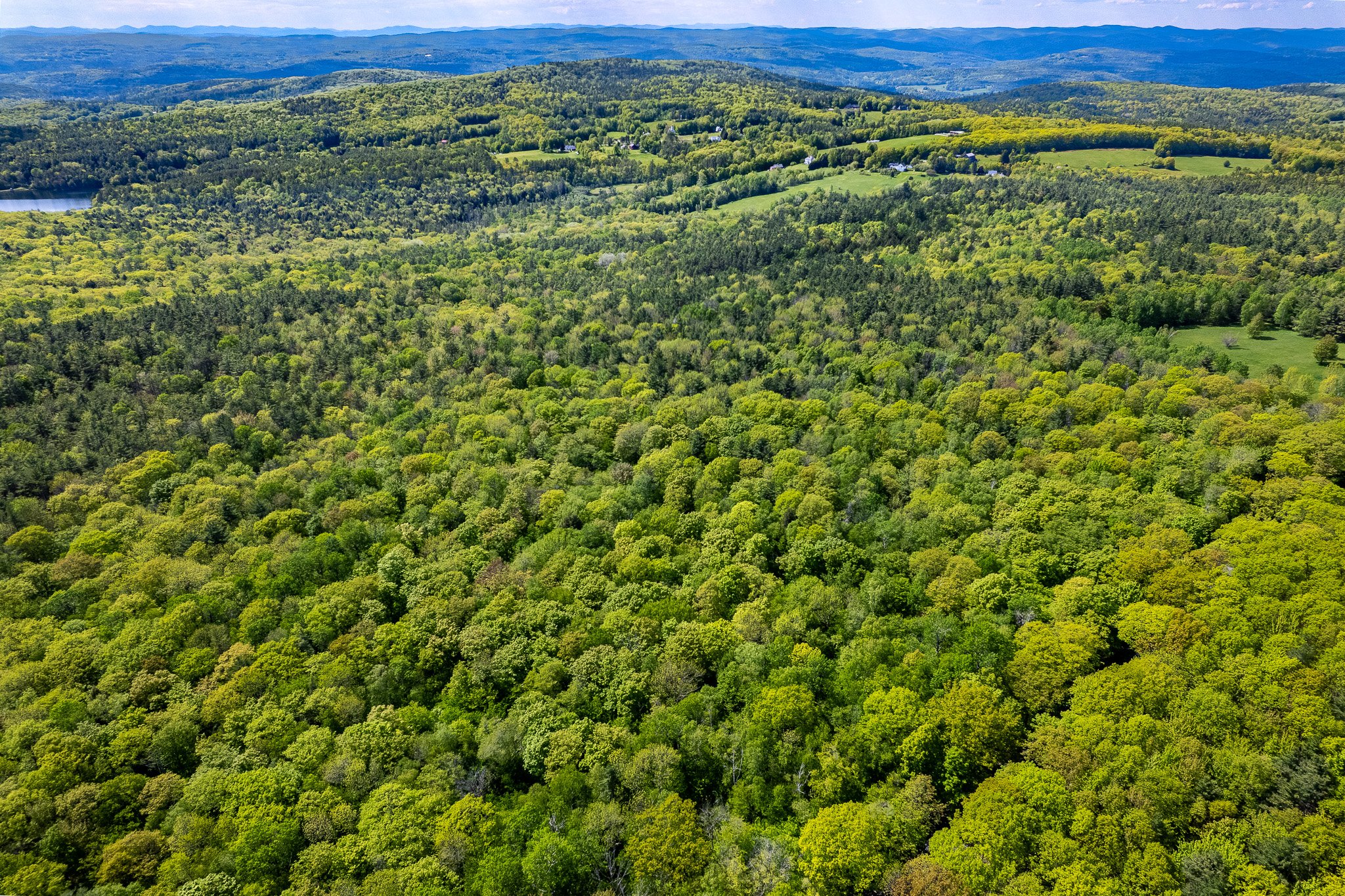 Three Mile Road Land MLS-7.jpg