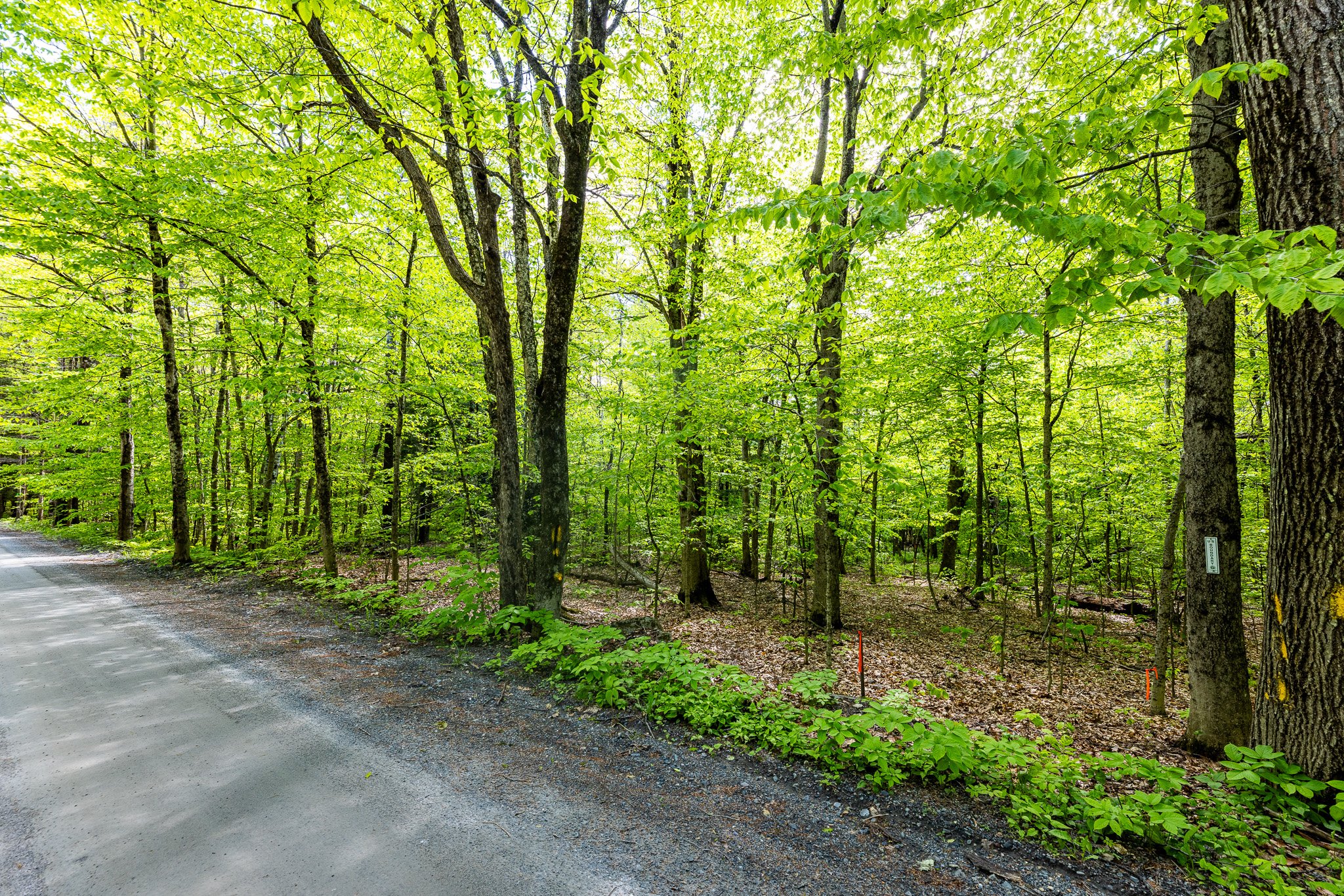 Three Mile Road Land MLS-9.jpg