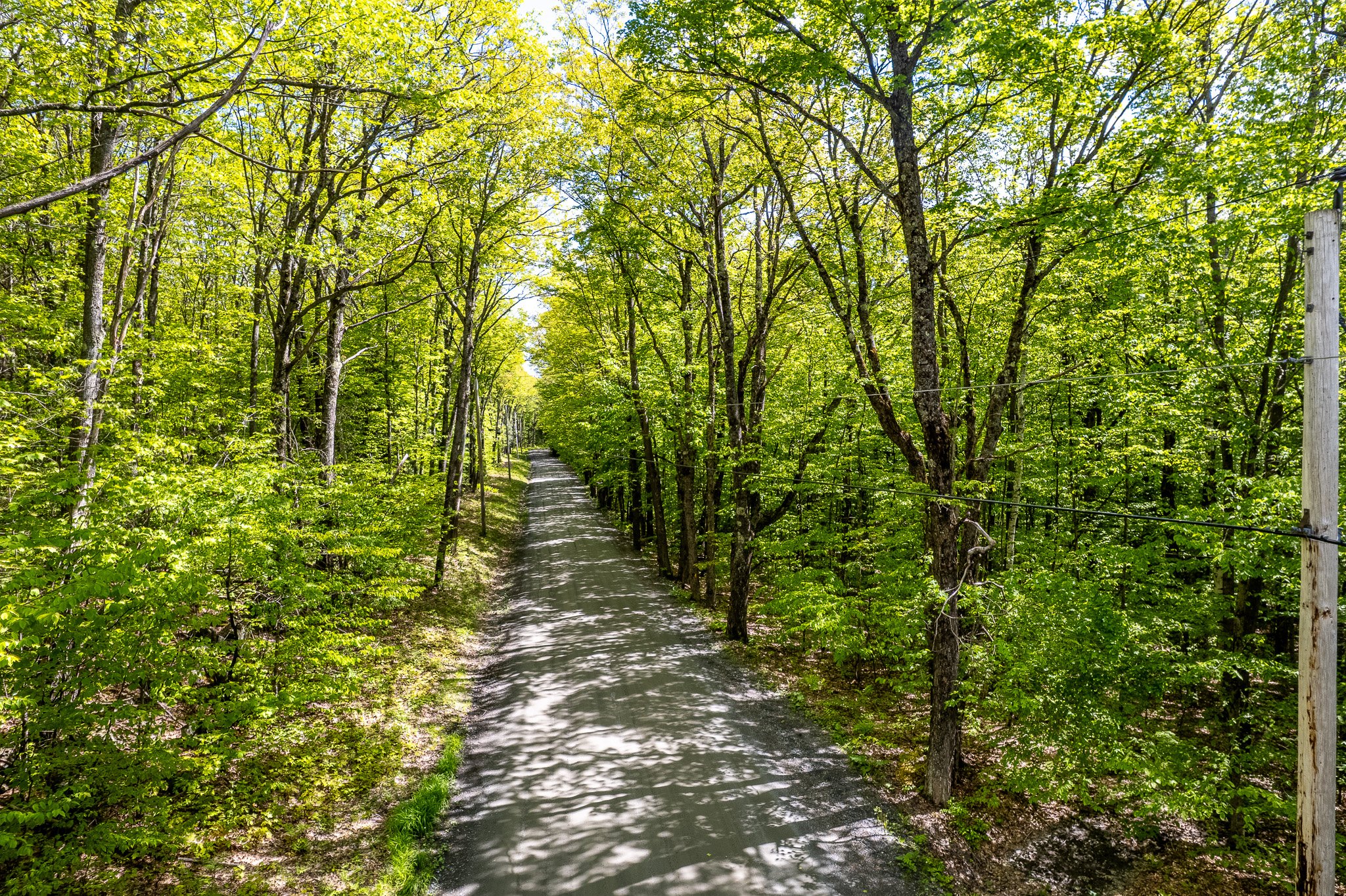 Three Mile Road Land MLS-10.jpg