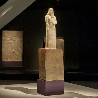 ROM2013_13462_9 SQUARE.jpg