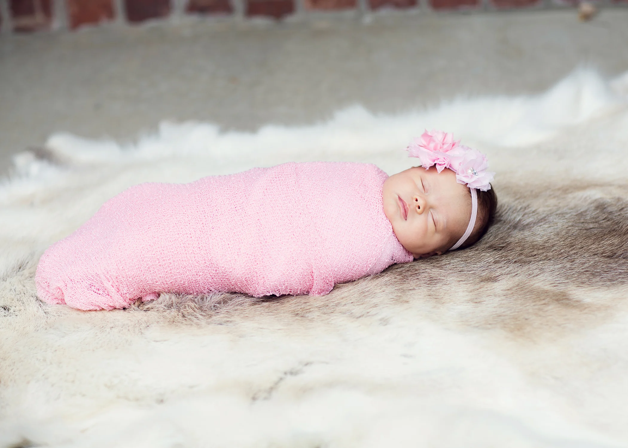 IMG_3679_5x7.jpg
