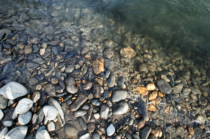 Swannanoa River Study 2