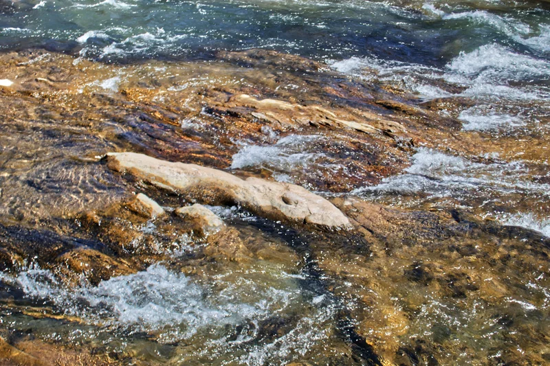 Swannanoa River Study 10