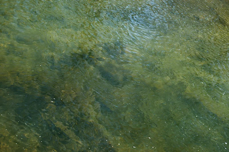 Swannanoa River Study 15