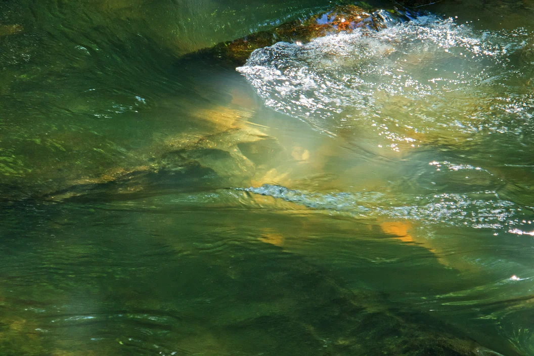 Swannanoa River Study 11