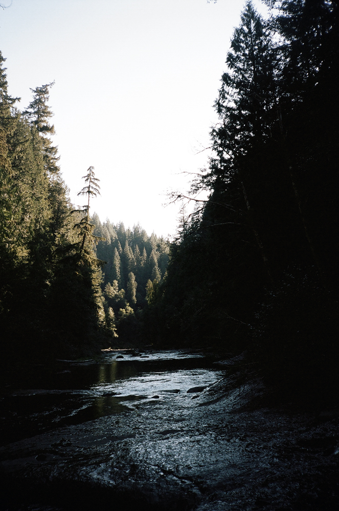 downriver.jpg