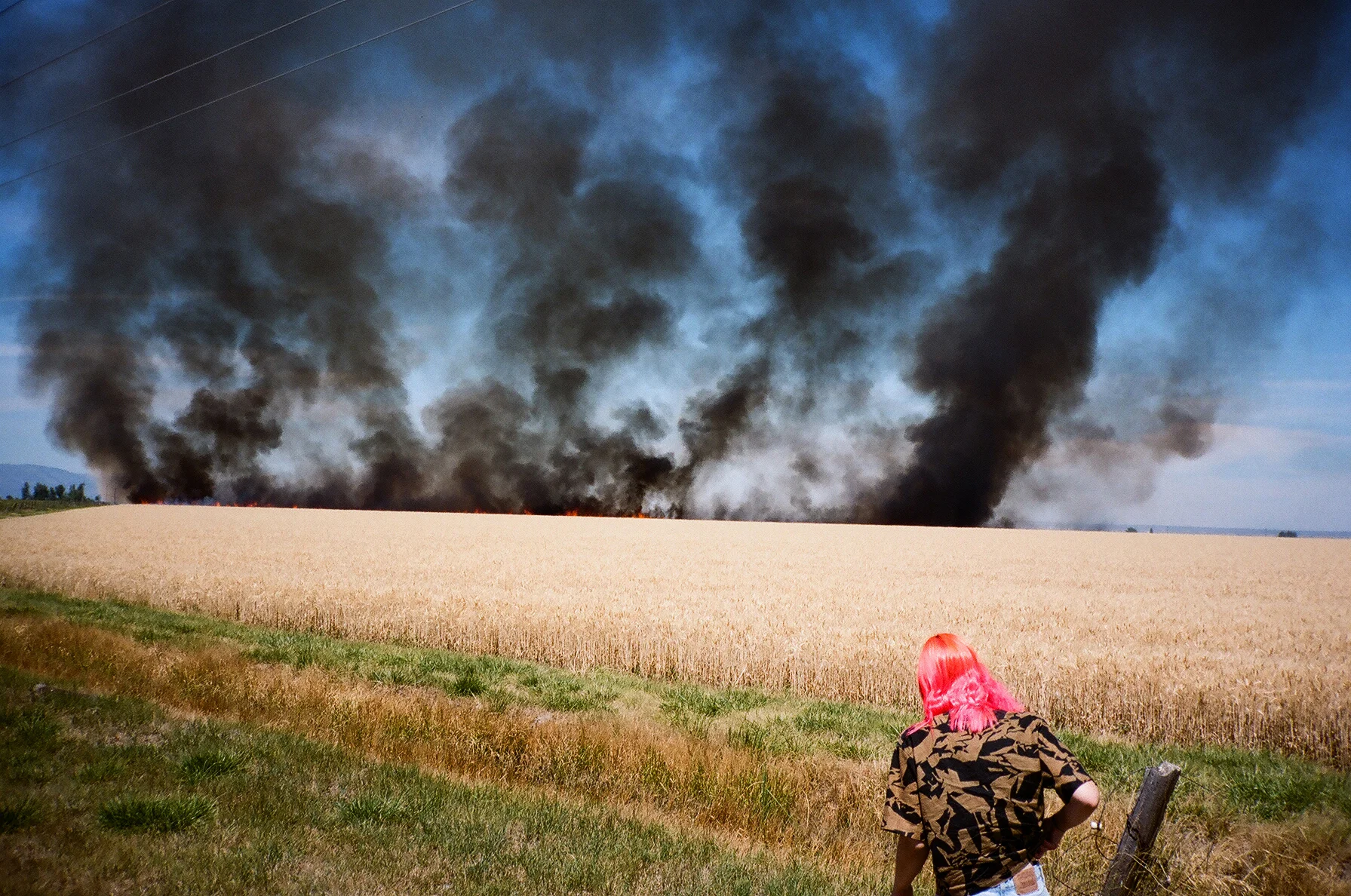 burningfield.jpg