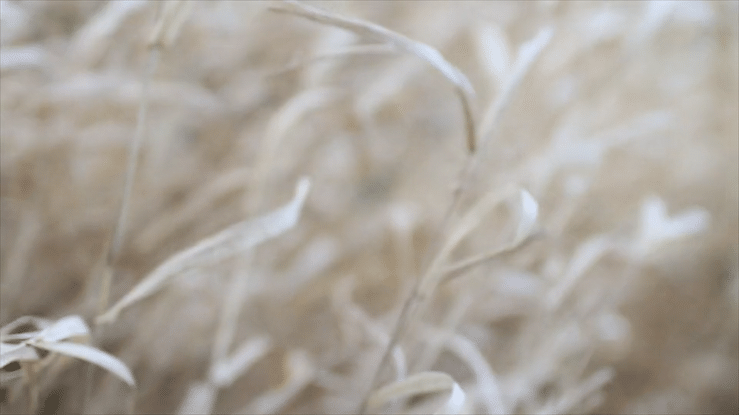 undefined-high (2).gif