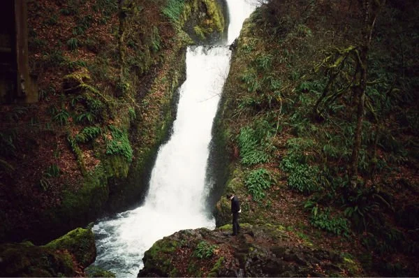 A person standing in front of a waterfall surrounded by greenery in a forest.