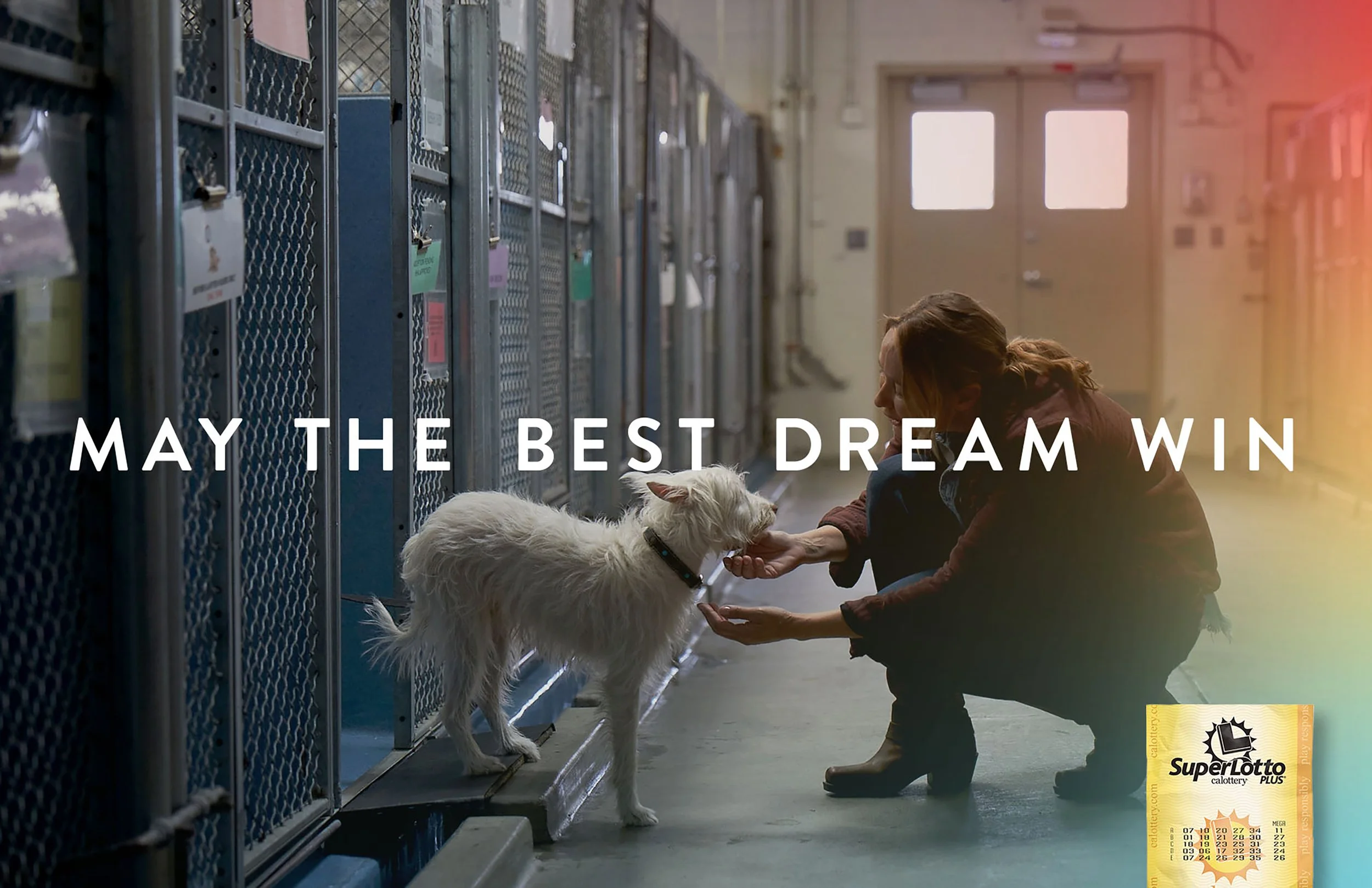 A woman kneeling down in a pet shelter, feeding a white dog on a leash, with a row of kennels in the background. The image features an overlay text, 'May the best dream win,' and a SuperLotto Plus ticket in the lower right corner.