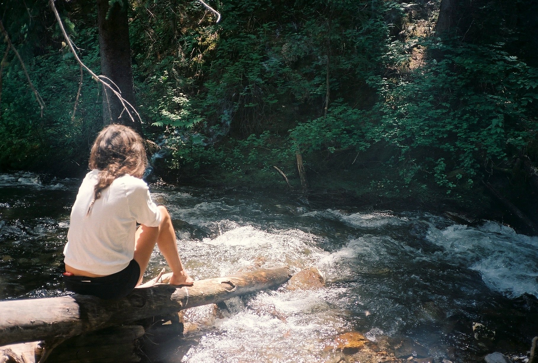 A person sitting on a log by a creek in a lush, green forest.