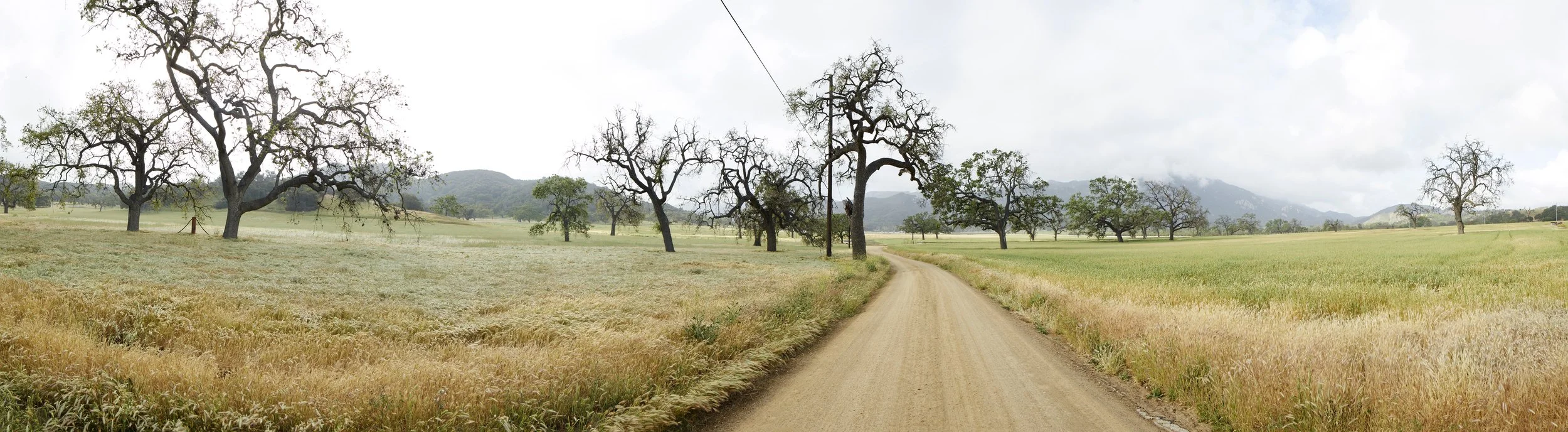 ranch_road_pano.jpg