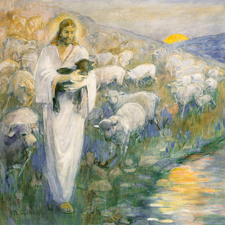 minerva+teichert+rescue+lost+lamb+1-1.jpg