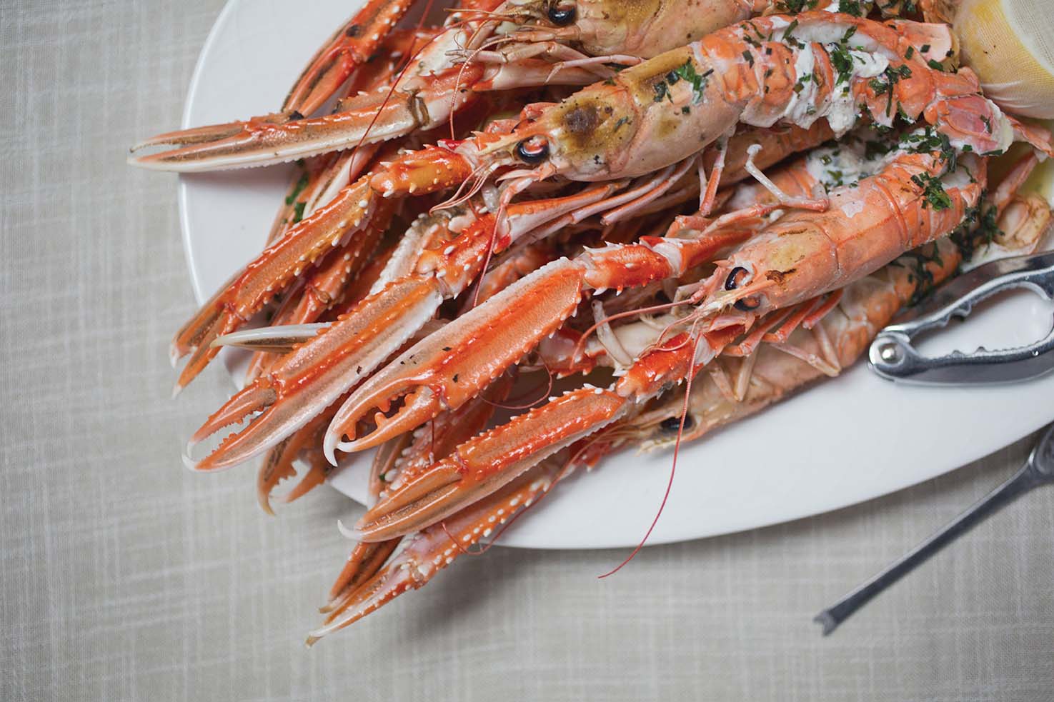 Gamba Langoustines.jpg