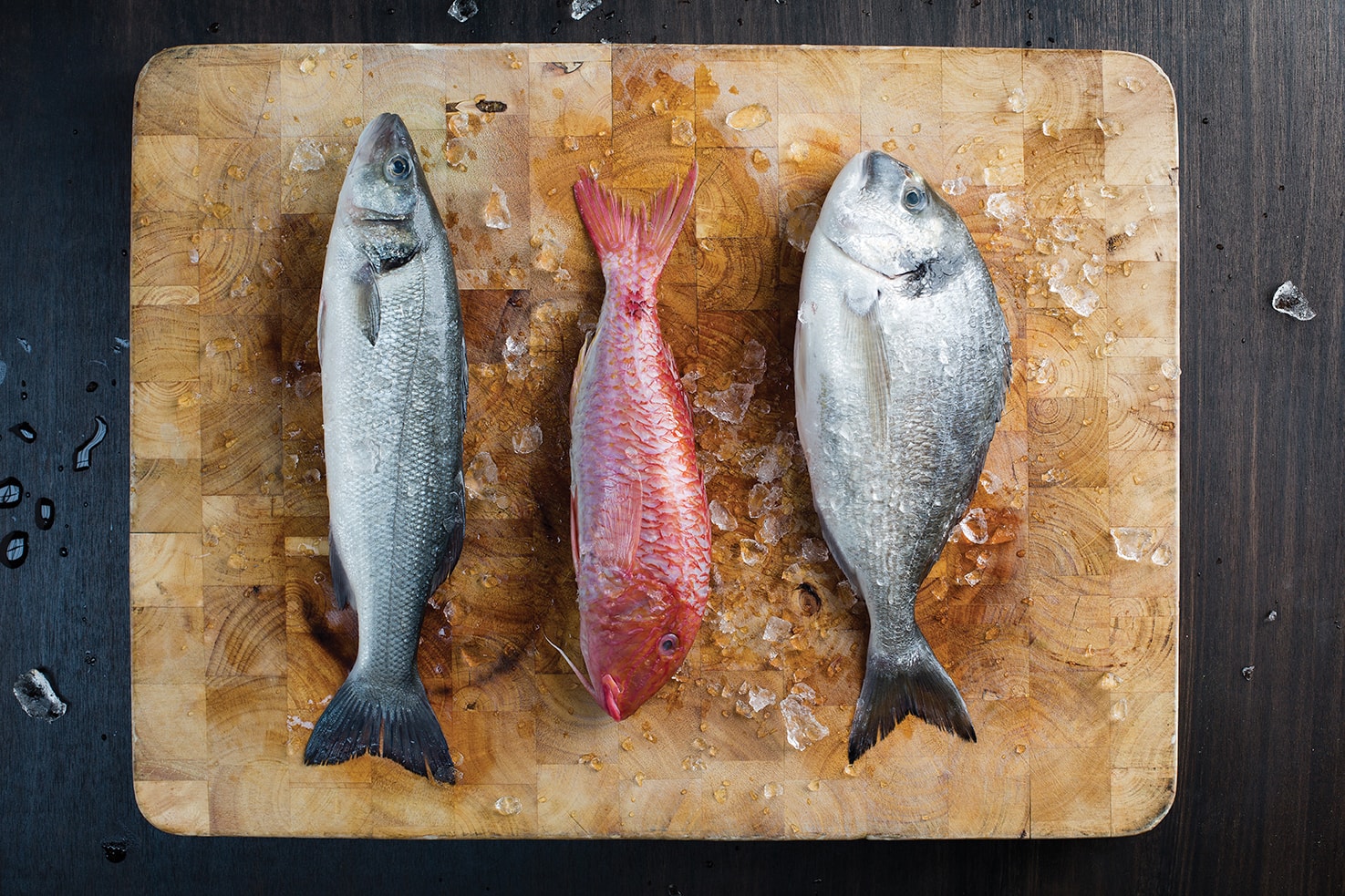 Gamba Fresh Fish-min.jpg