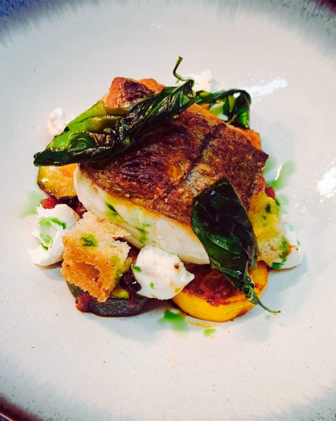 Hake our word for it - this new addition to our &agrave; la carte is something else! 

Roast Shetland Hake with Zucchini &amp; Heirloom Tomato Ragu, Bocconcini, Basil, Sourdough Croutons, Balsamic, Fried Basil.

#gambaglasgow #glasgowfood #glasgowres