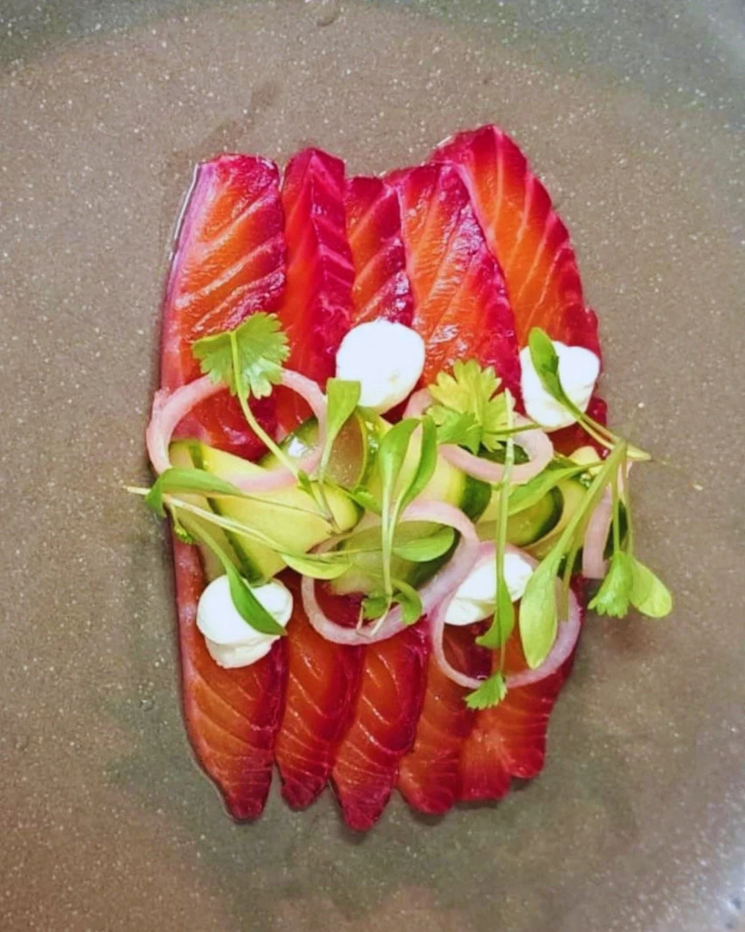 Harris Gin Gravlax of Trout

Citrus Cr&egrave;me Fraiche, Pickled Cucumber &amp; Shallots, Rye Bread

Book now ahead of another Gamba week - Wednesday to Sunday.

A la carte, lunch, Surf and Turf (Wednesdays), pre-theatre and Saturday Menus.

Website