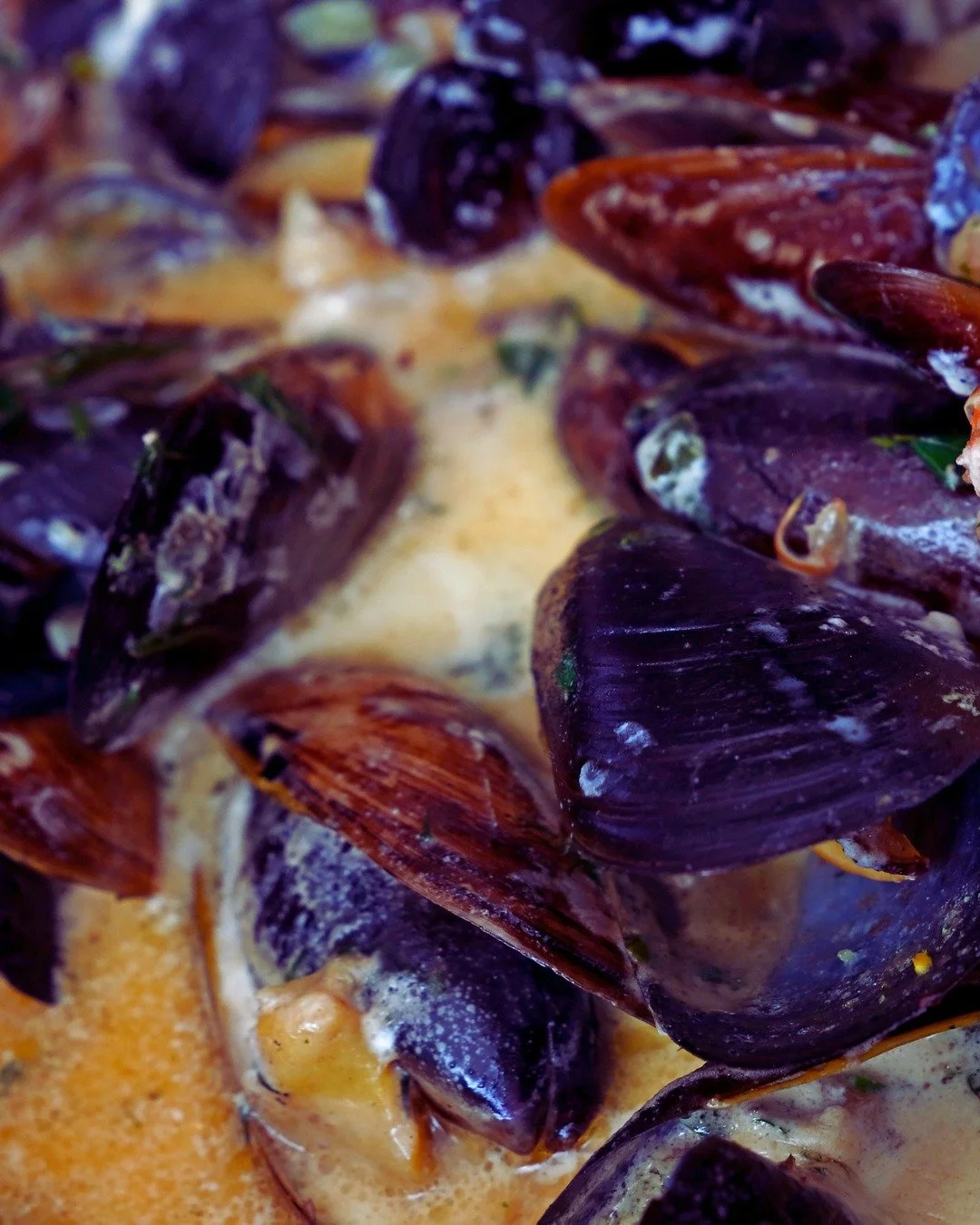 Mussel bound 🦪

Our Kilo Pot of Mussels is making waves. 

Choose between silky confit garlic &amp; white wine or the timeless Sauce Marini&egrave;re.

#gambaglasgow #glasgowfood #glasgowrestaurant #glasgowseafood #seafoodrestaurant #mussels #glasgo