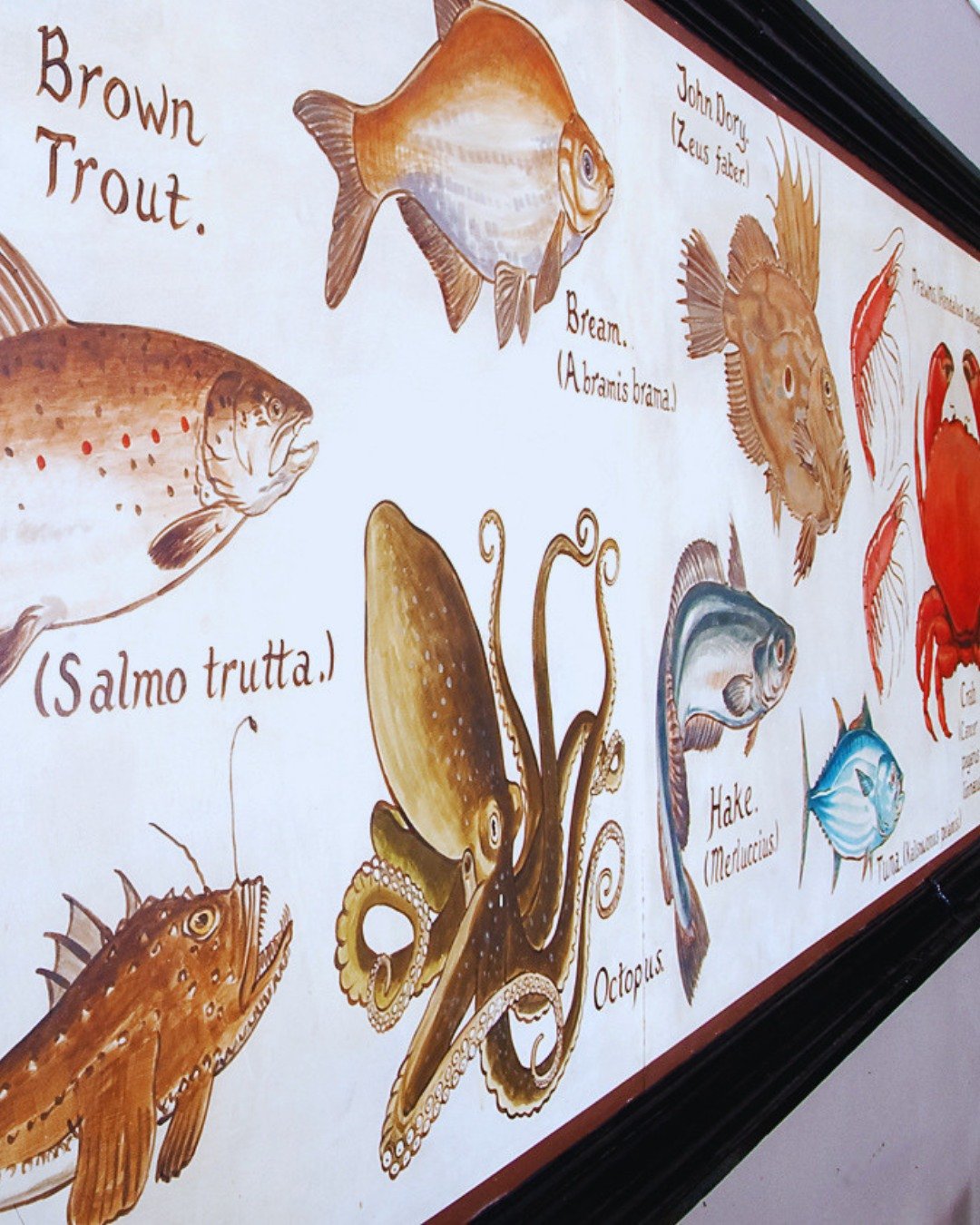 There's a lot of love for our beautiful mural! 🖼️ 🎨 

#restaurantdesign #gambaglasgow #restaurantinteriors #interiordesign #restaurantstyle #designinspiration #beautifulspaces #glasgowseafoodrestaurant #restaurantdecor #hospitalitydesign #interiori