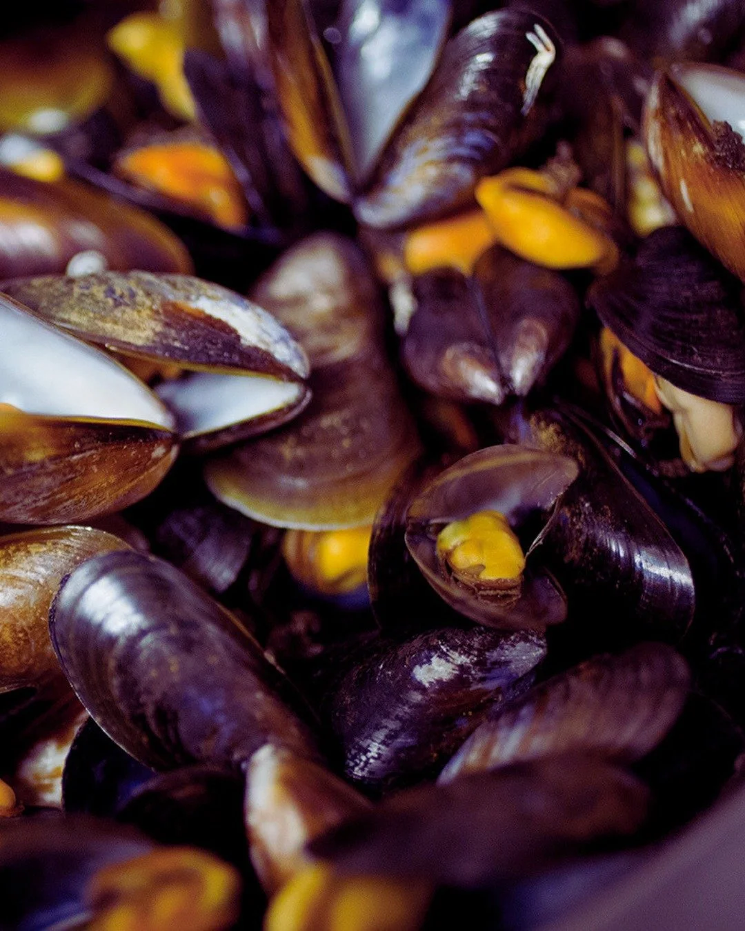 Pot luck! 🦪

Our generous Kilo Pot of Mussels is packed with fresh flavour.

Go for confit garlic &amp; white wine or keep it classic with Sauce Marini&egrave;re.

#gambaglasgow #glasgowfood #glasgowrestaurant #glasgowseafood #seafoodrestaurant #mus