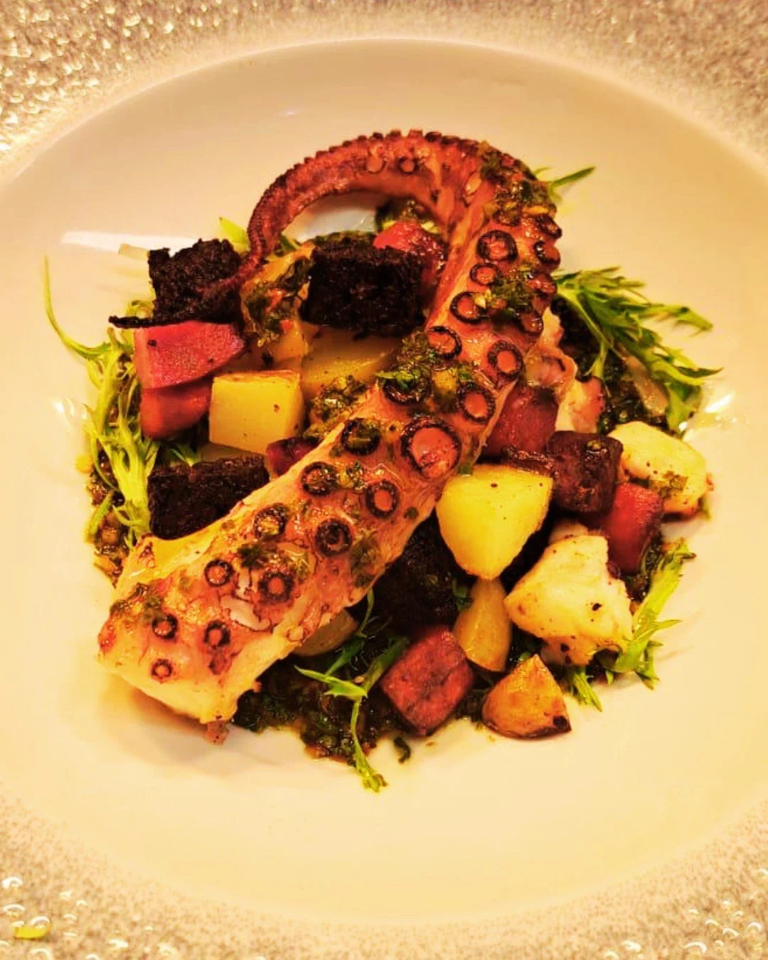 A splash hit! 🌊

Bold, smoky and packed with flavour. Grilled British Octopus meets chorizo, Stornoway black pudding, new potatoes and chimichurri in one of the most talked-about dishes on our menu. 🐙 

Menu online. Link in bio @gambaglasgow

☎️ 01