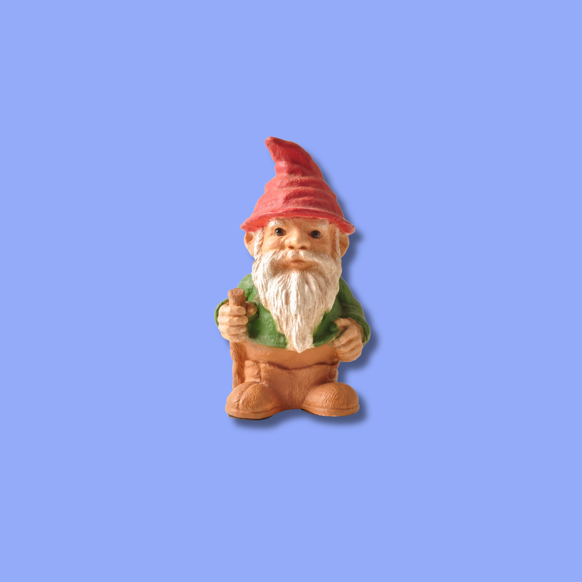 The Gnome