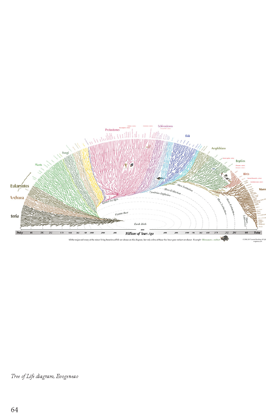 krs267_Thesis Book_Page_64.png