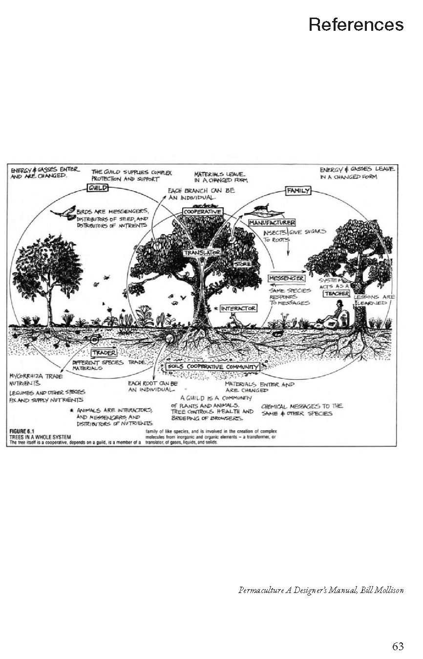krs267_Thesis Book_Page_63.png