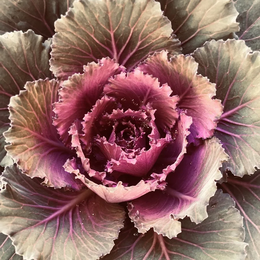 Day 43. 10 small moments