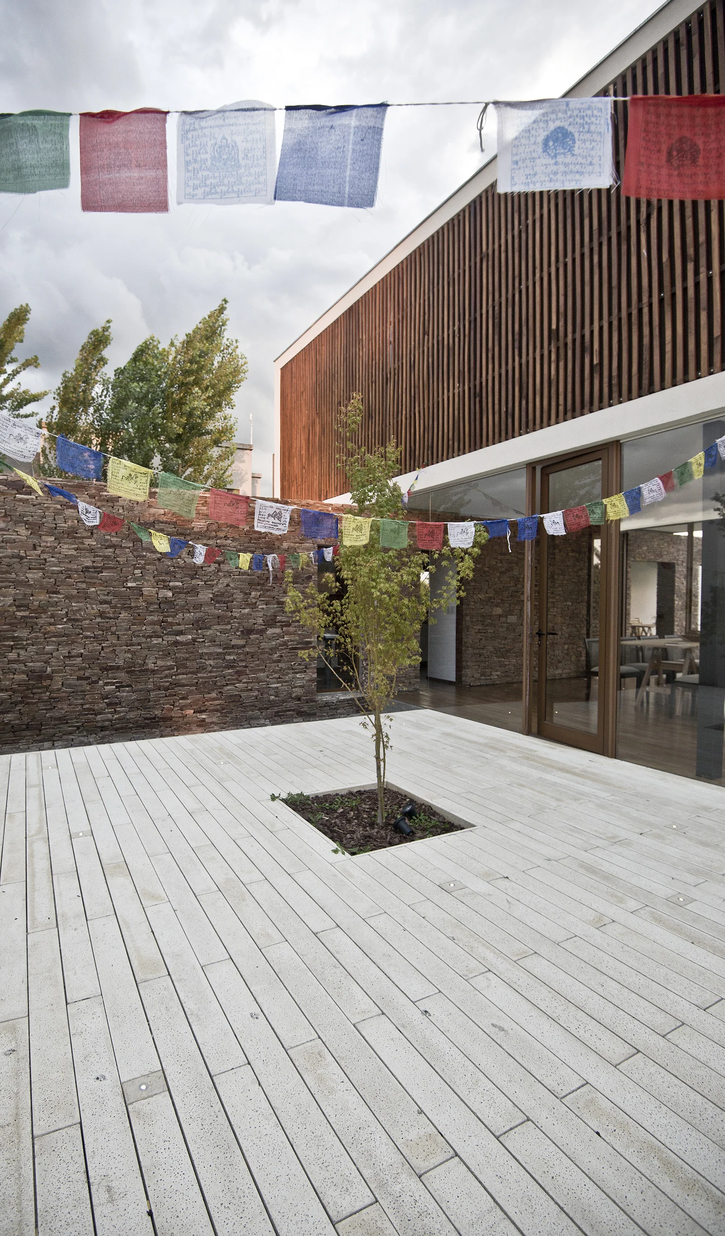 PATIO-01.jpg