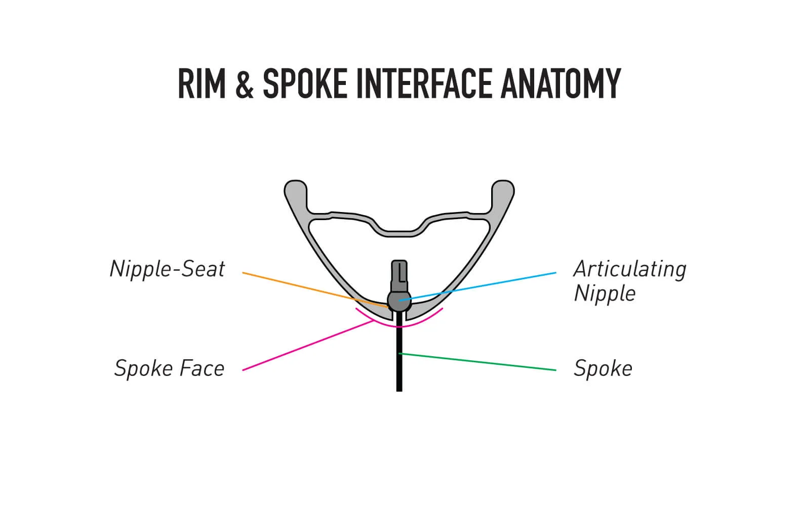 Source : ENVE Composites