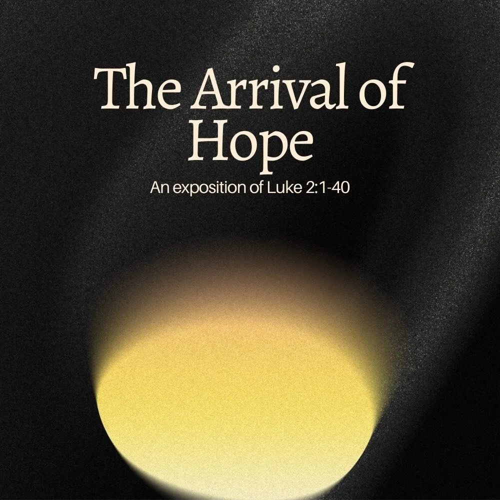 Arrival of Hope.jpeg