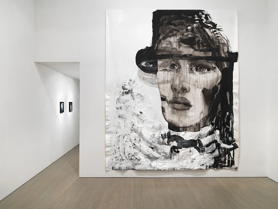 WIDOW IX, 2019 flashe and acrylic on canvas 10x12 ft