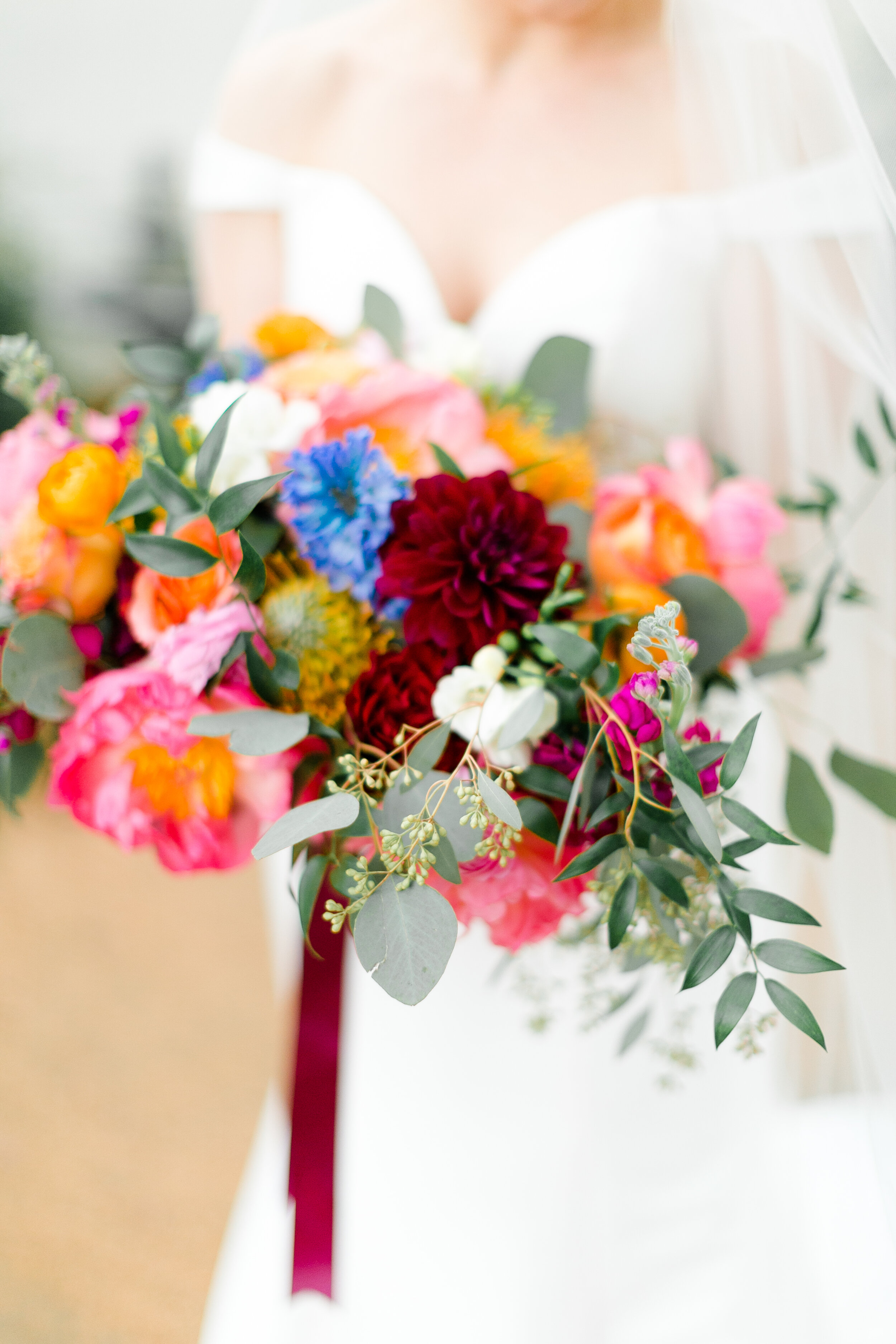 Bright &amp; Vibrant 