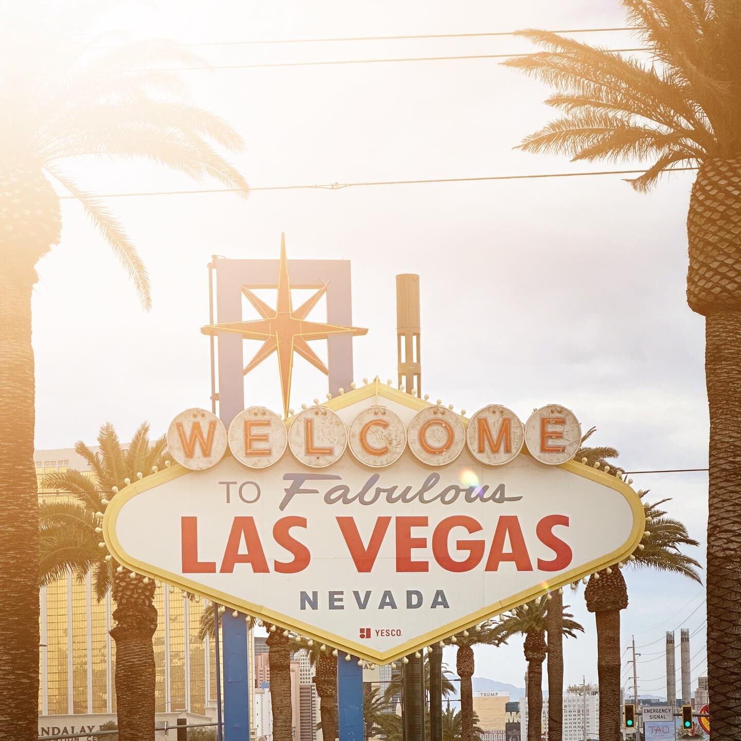 Seems fitting to kick off the 2023 ISA Show in Las Vegas with a visit to one of the most iconic signs ever built. She&rsquo;s a beaut&rsquo;! 

𝗠 ⚡️🪧⚡️𝗪⁠

#ISASignExpo2023 #signs #signage #neonsigns #signssignseverywheresigns #signexpo #wonderfull