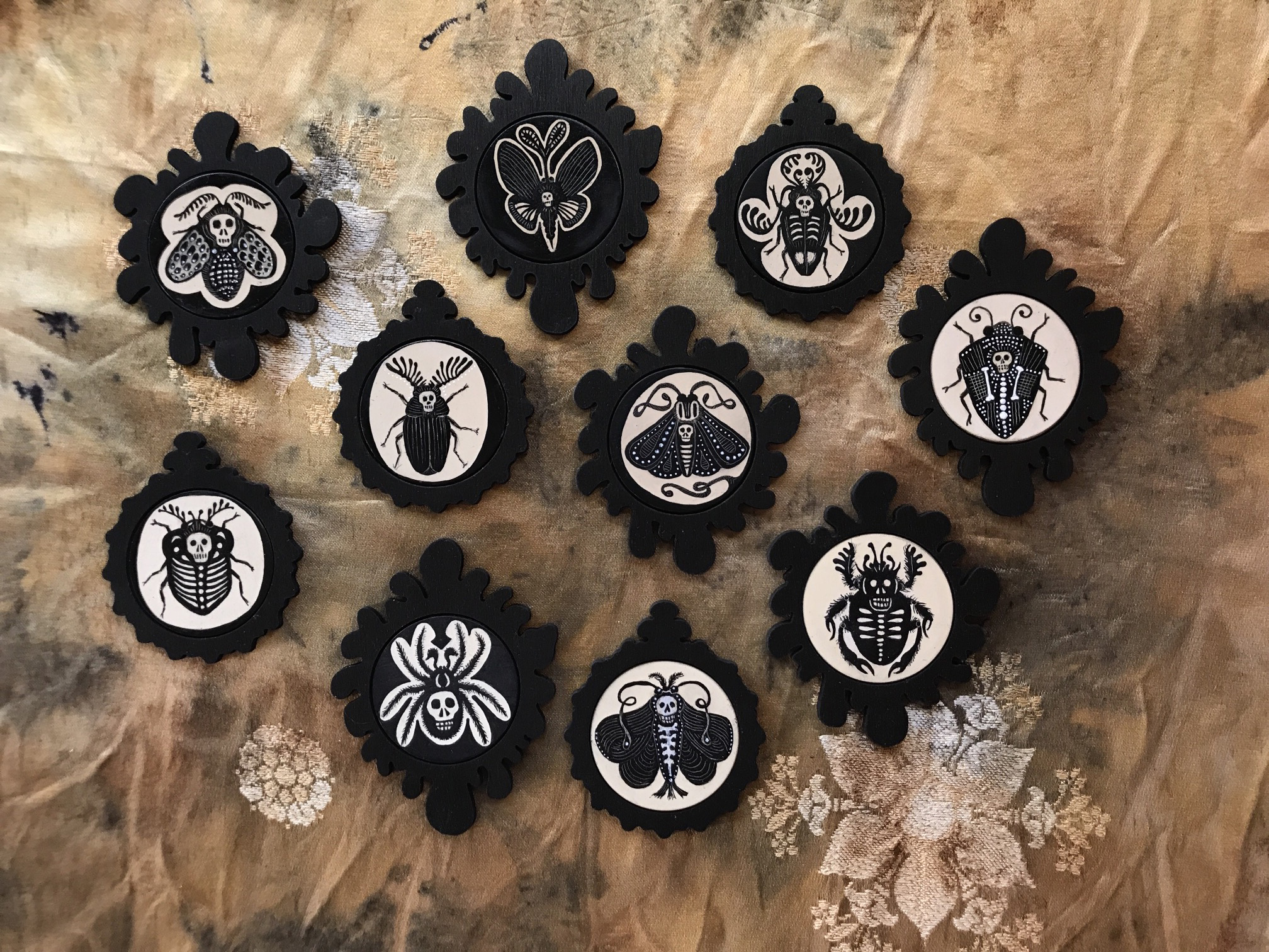 Insect group 10.jpg