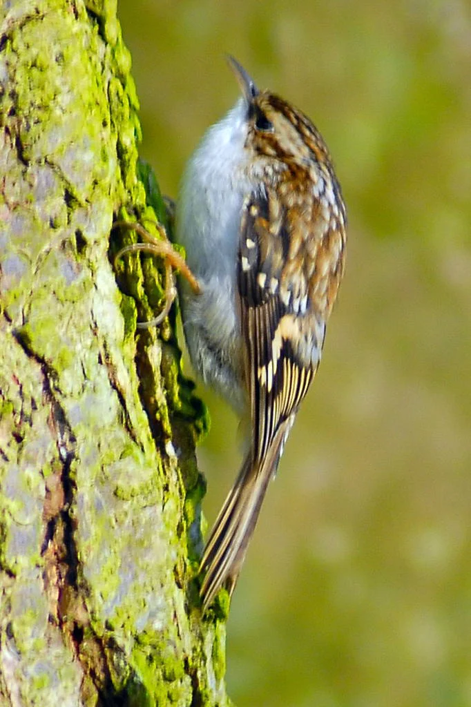 DSC_00160001.jpg